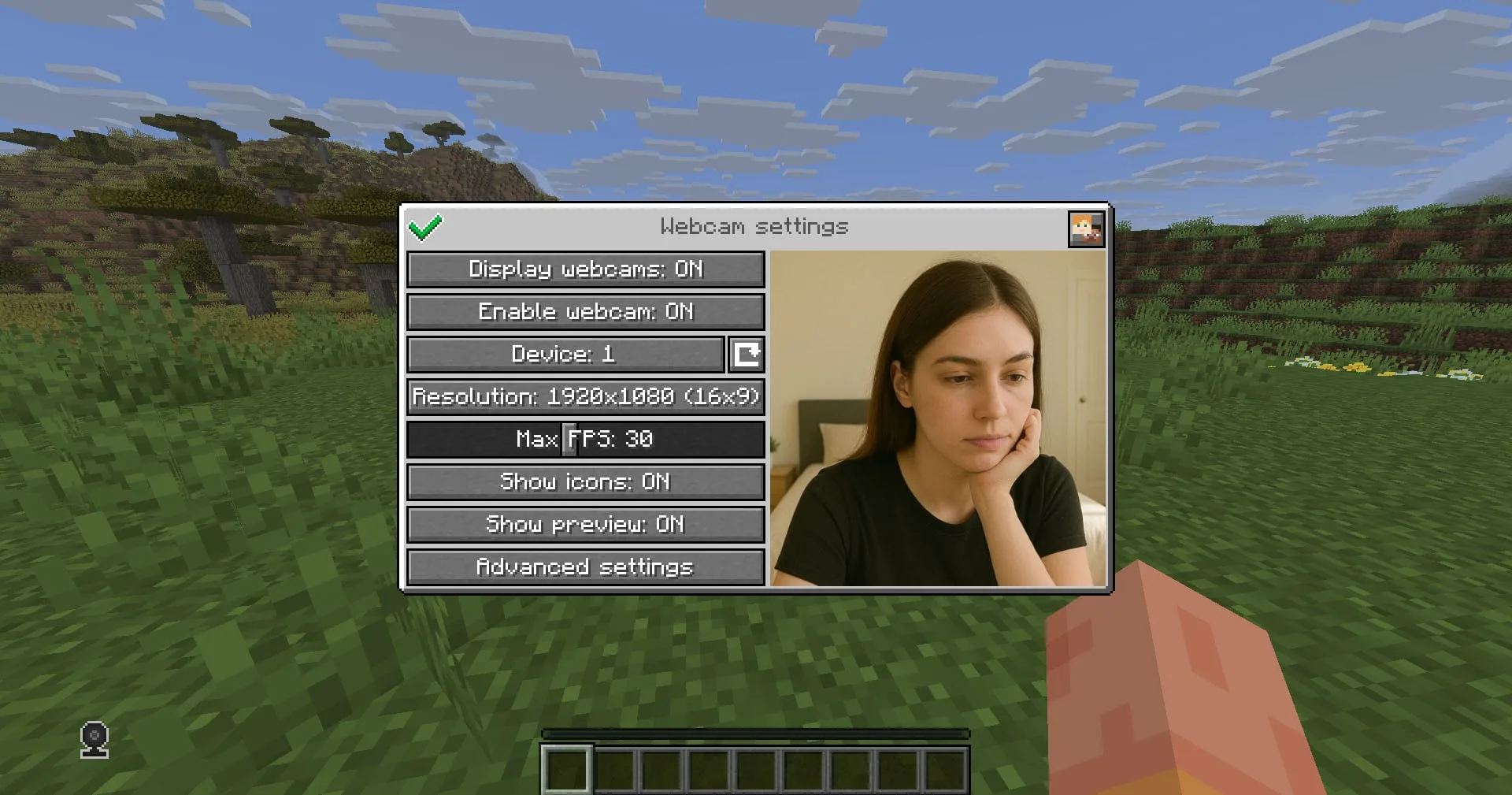 Меню настроек мода Webcam