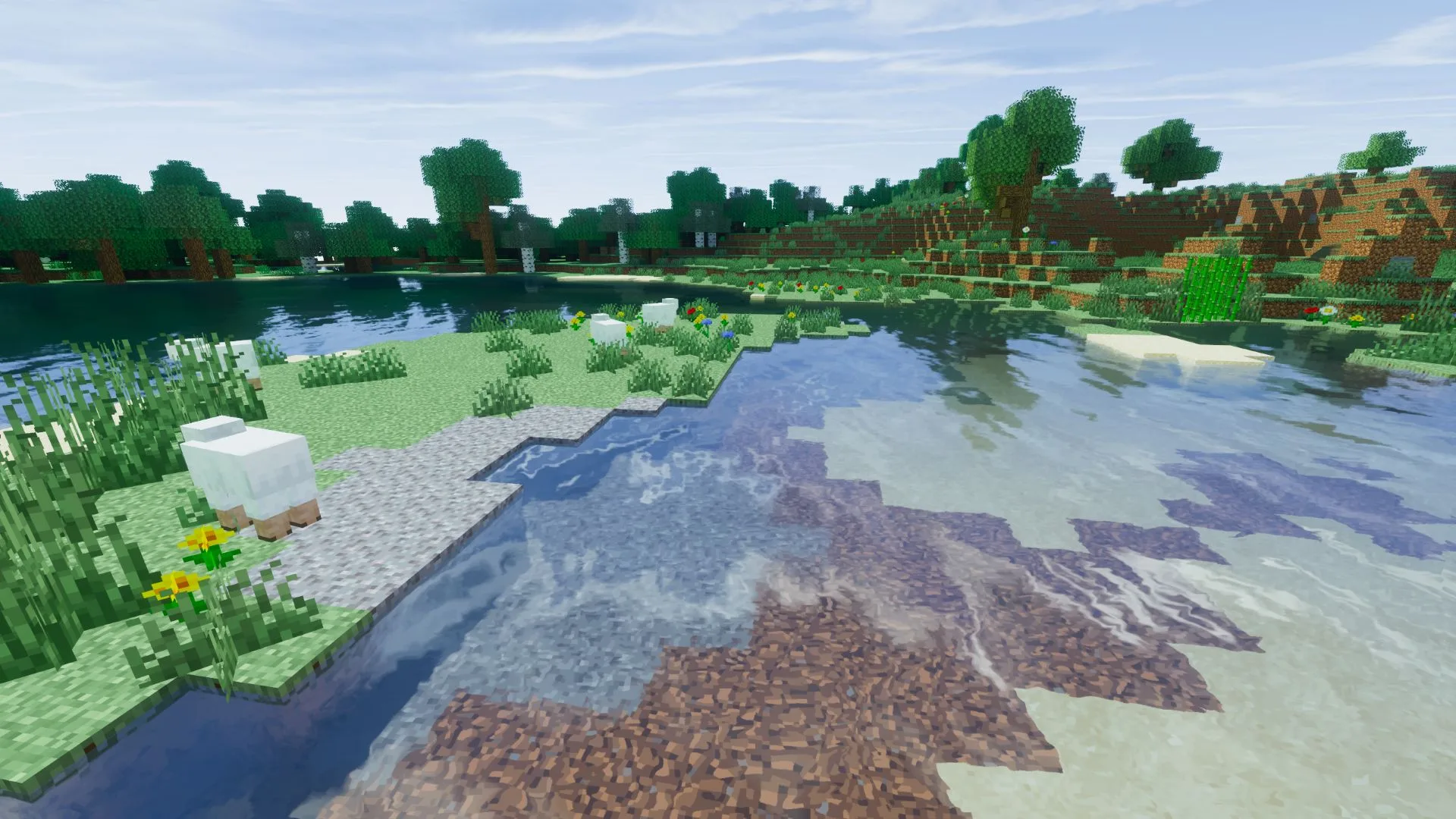 Oct-Path: образец карты