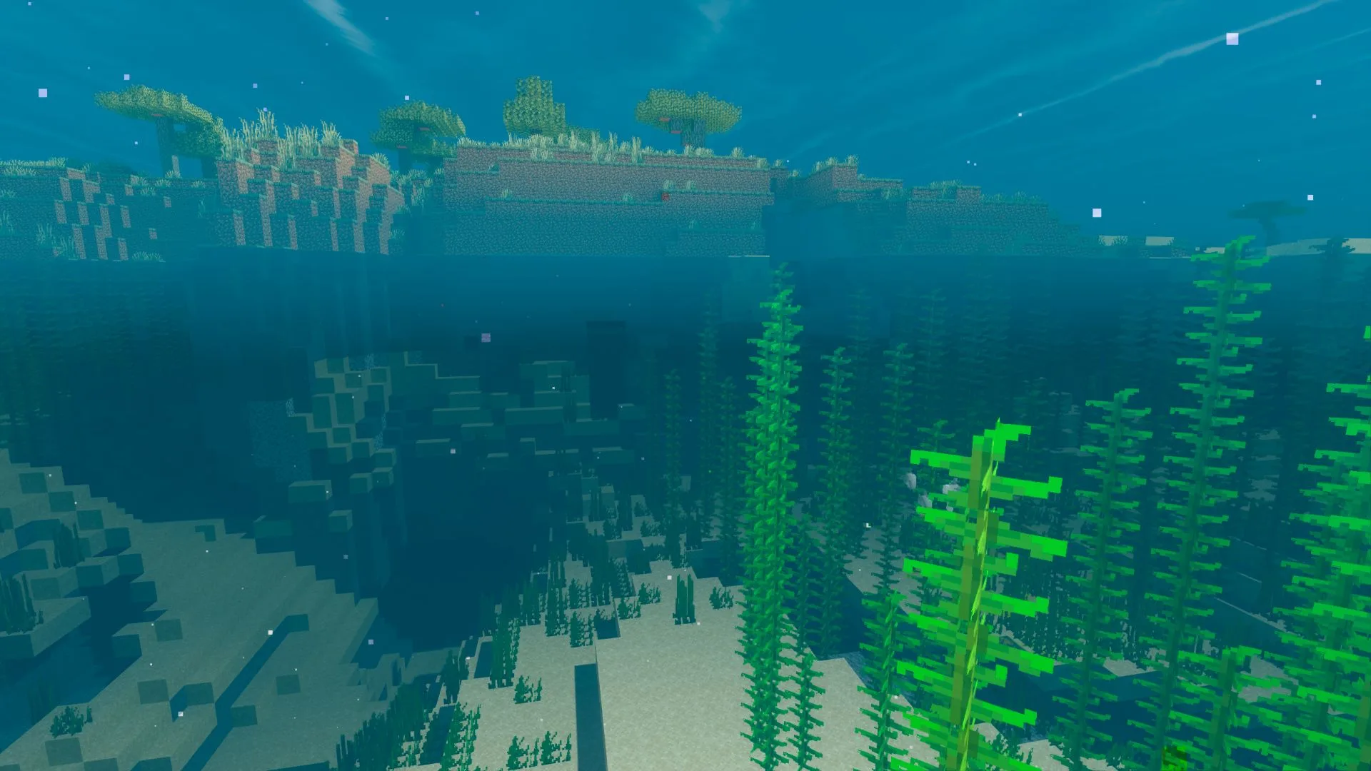 Подводный путь в теплом океане.