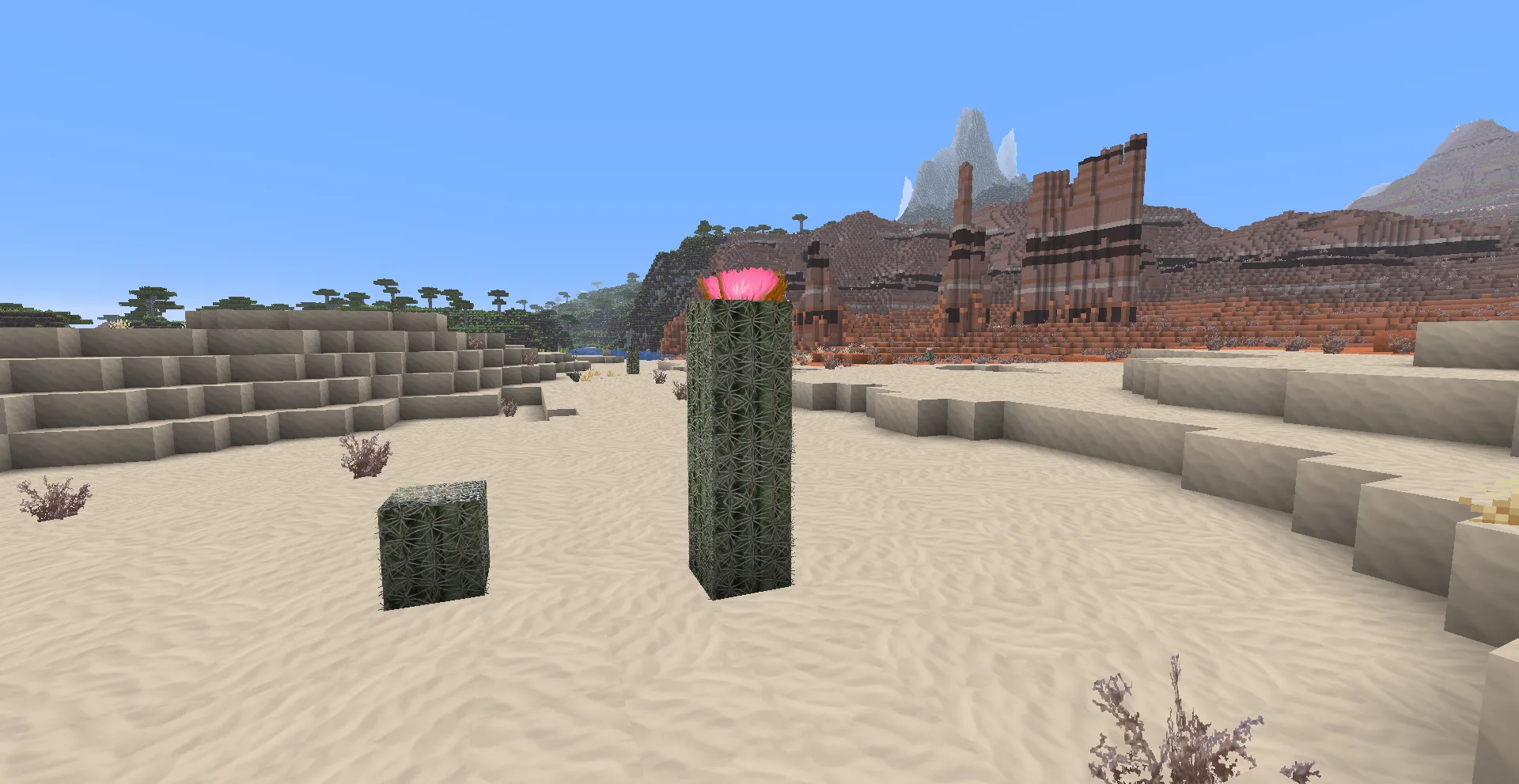 Ресурс-пак Realism upscaled: пустынный биом с кактусами и элементами бедленда.