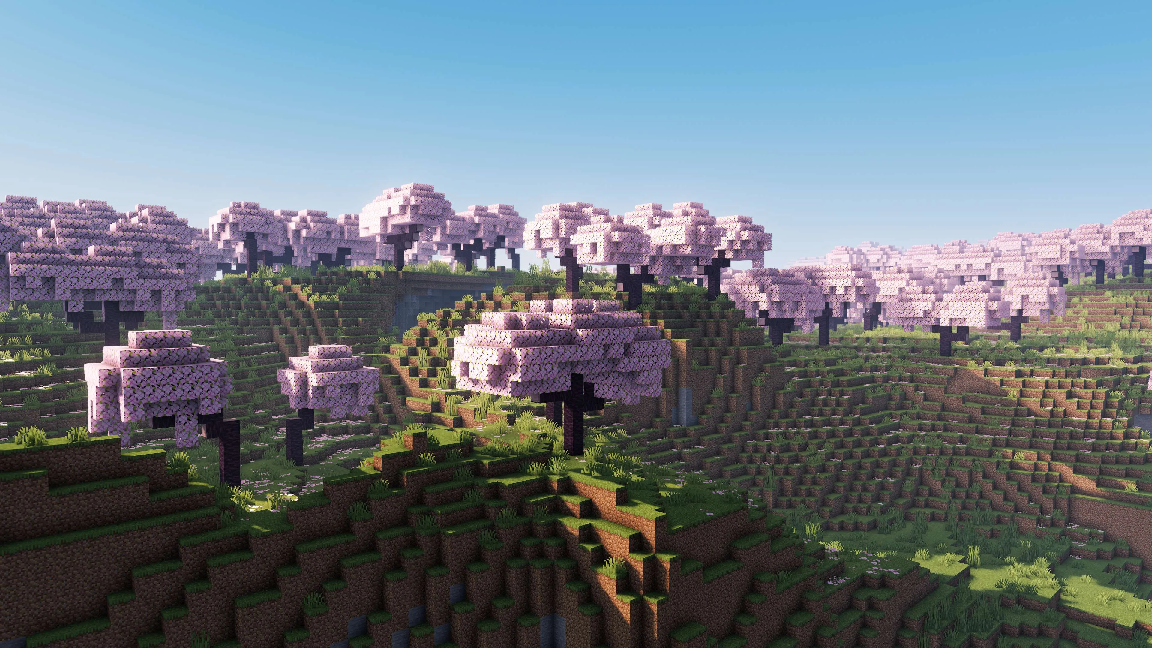 E-LITE шейдеры, вишневые цветы.