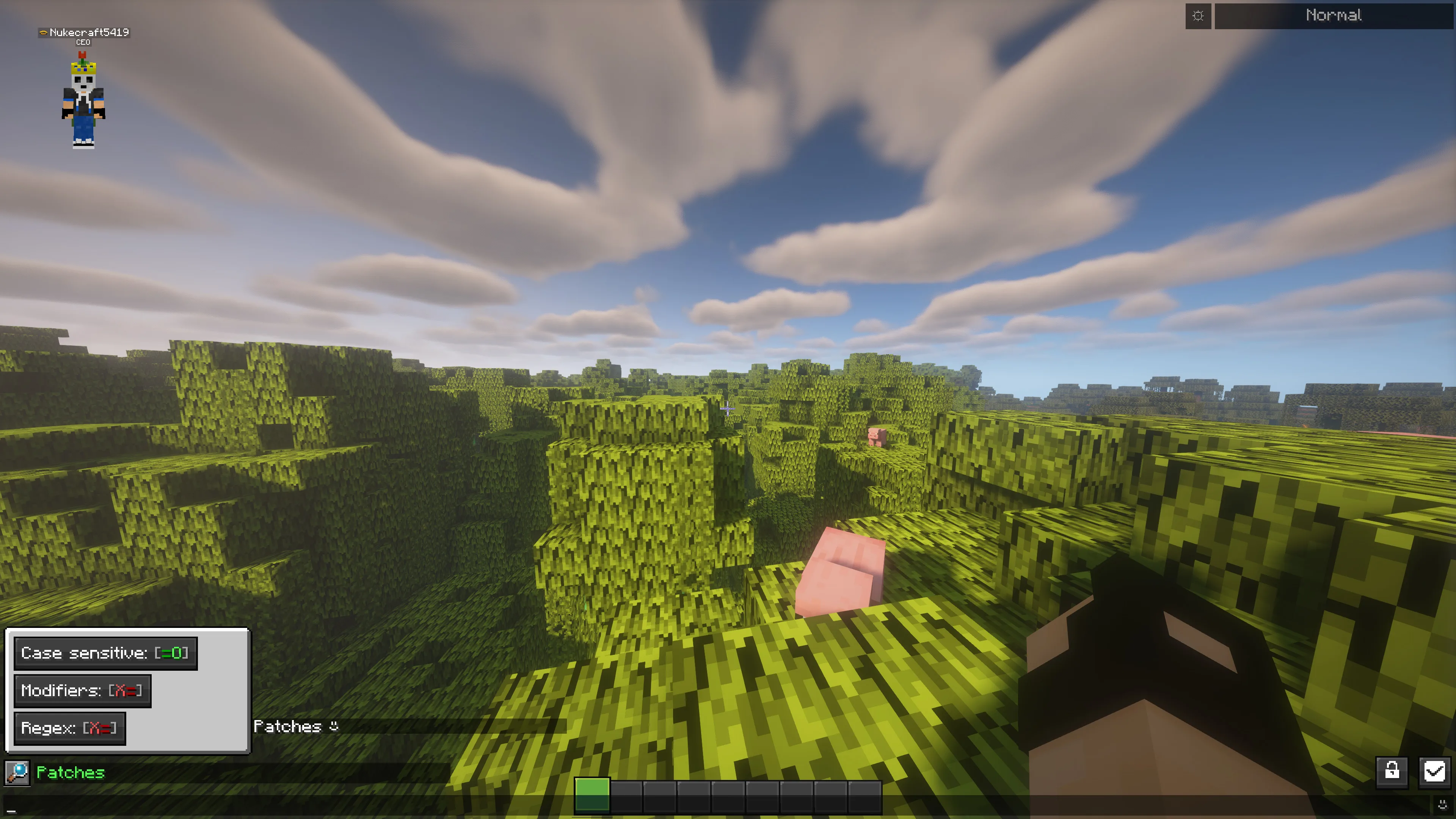 Меню поиска в настройках мода Chat Patches.