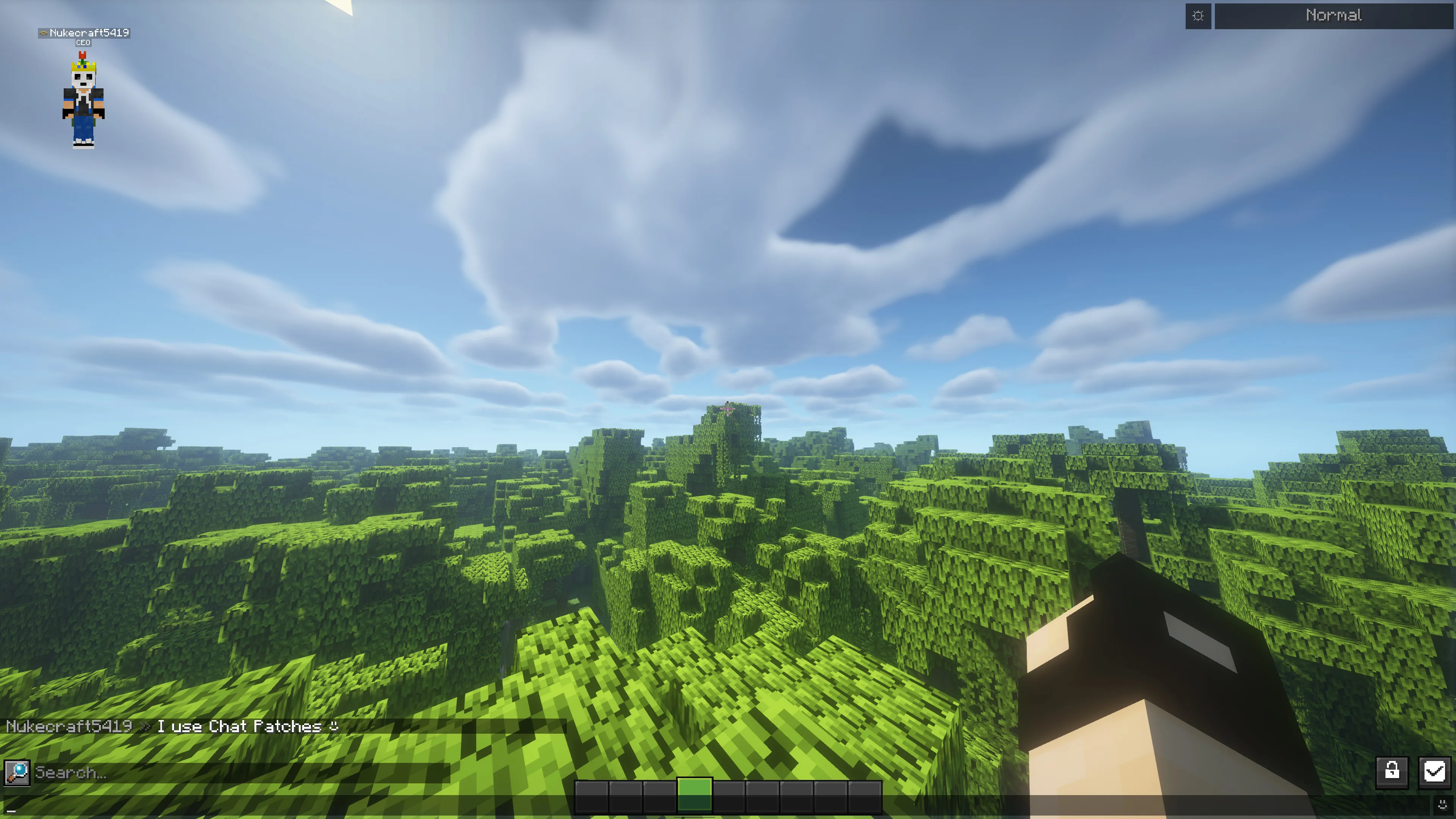 Пример отображения сообщения в чате с измененным форматом имени игрока и отключенной временной меткой.