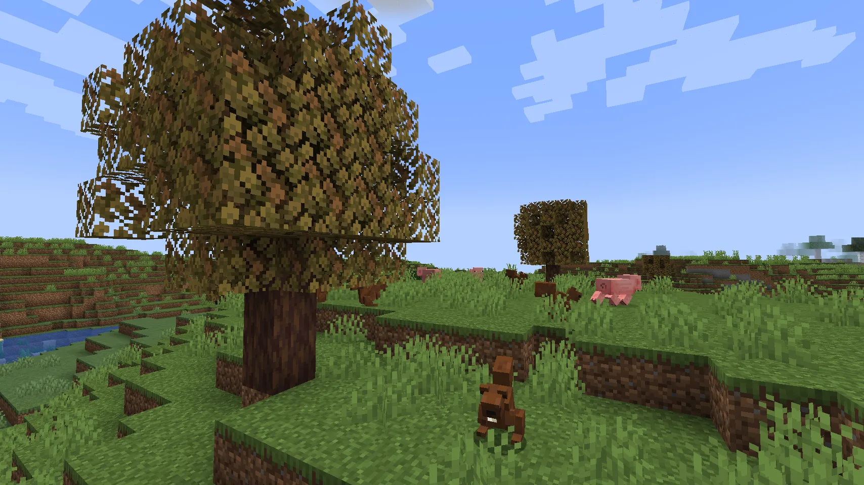 Скриншот обновления Ecologics: белки и грецкие орехи на равнине.