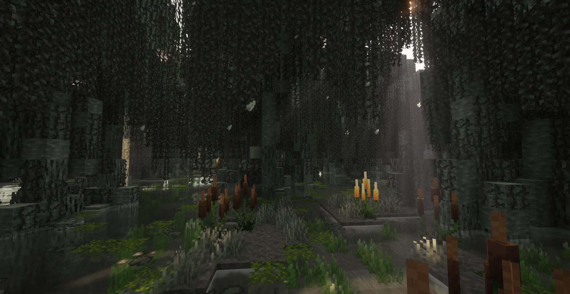 Биом Pale Bog из мода Oh The Biomes We've Gone для версии 1.21.1.