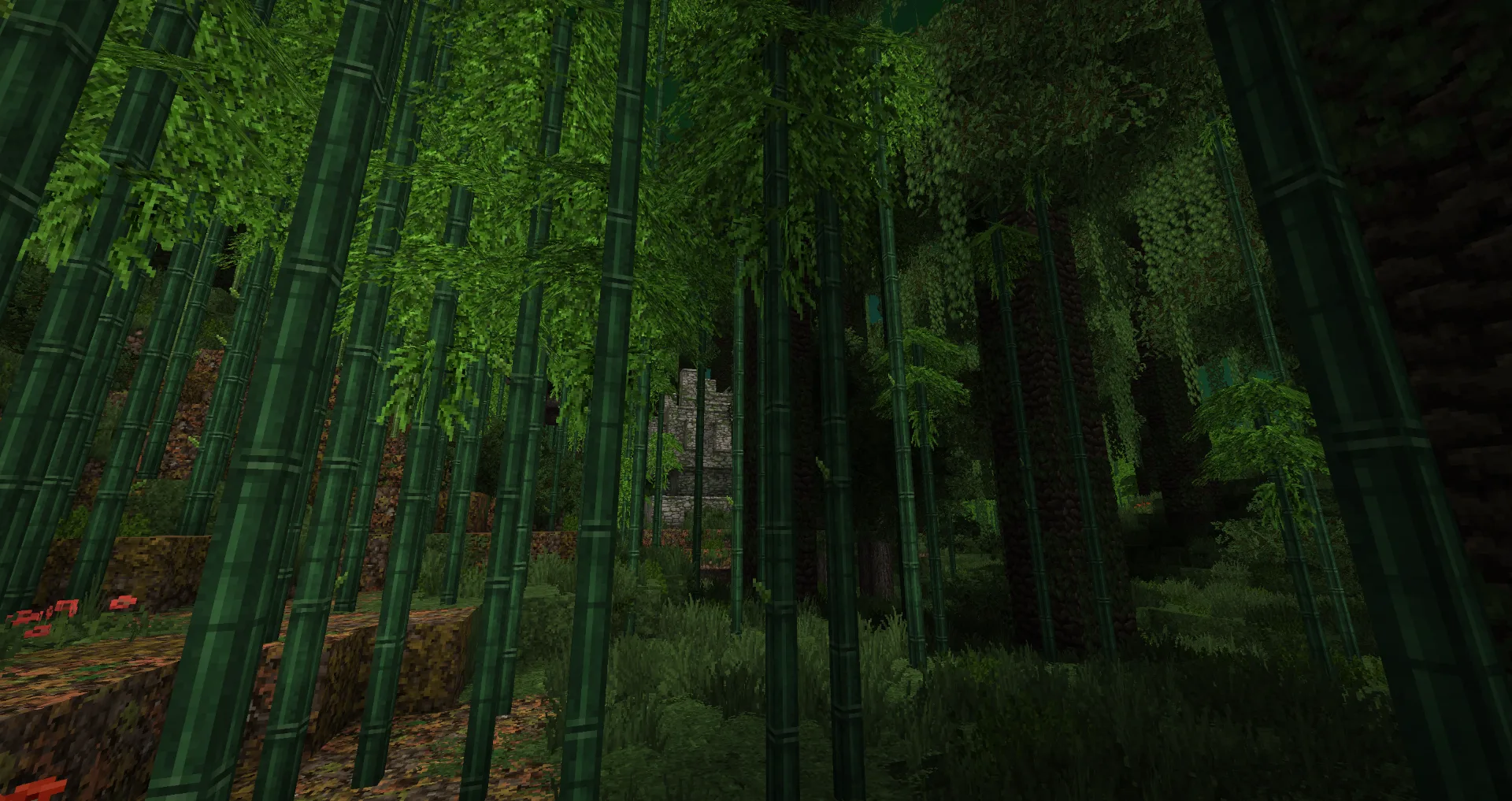 Bamboo jungle