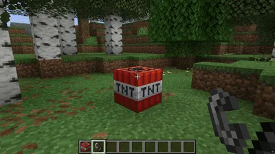 Таймер активации TNT в игре