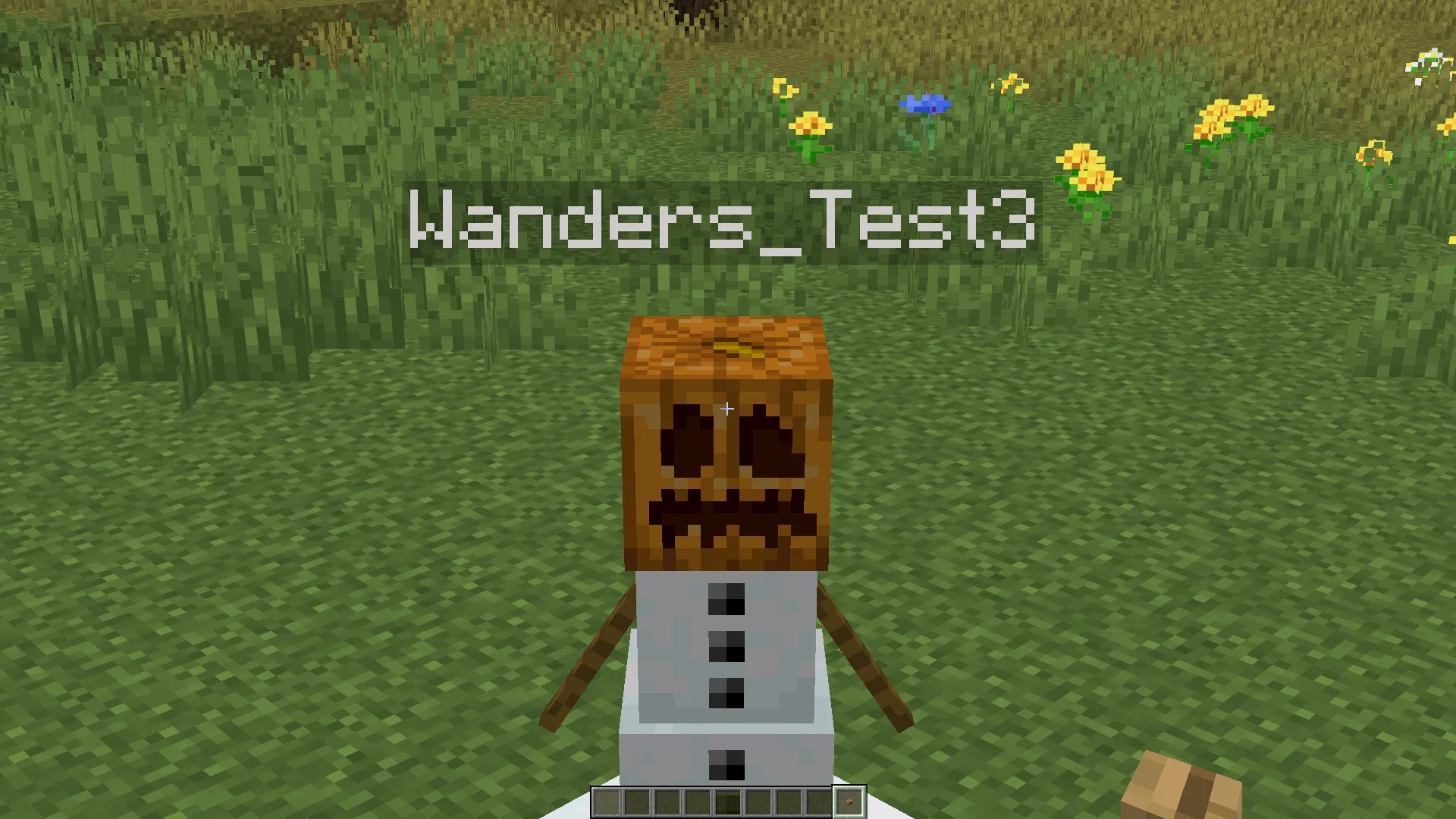 Снеговик со стандартным отображением имени без ресурс-пака