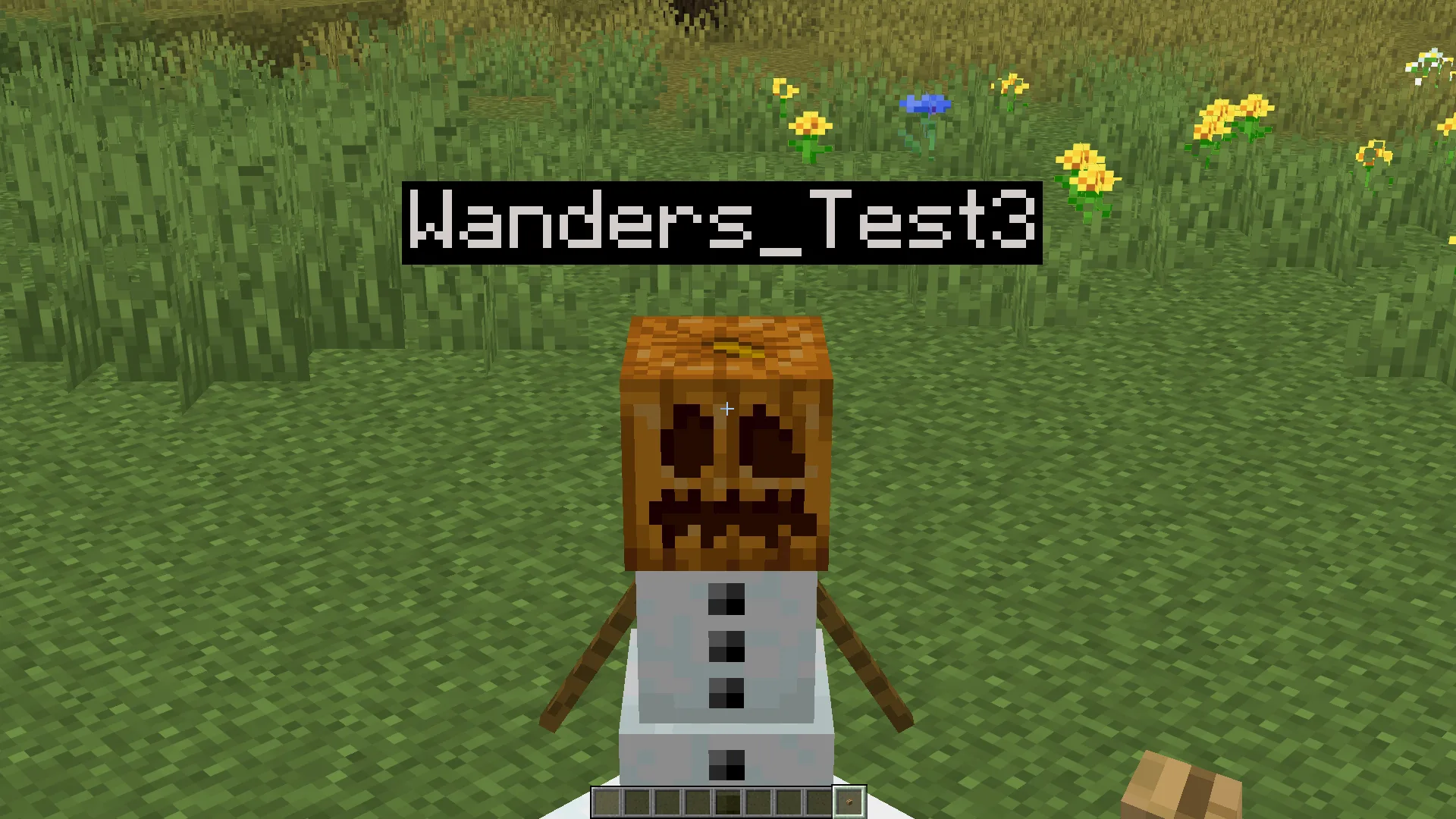 Снеговик с использованием ресурс-пака Solid Name Boxes