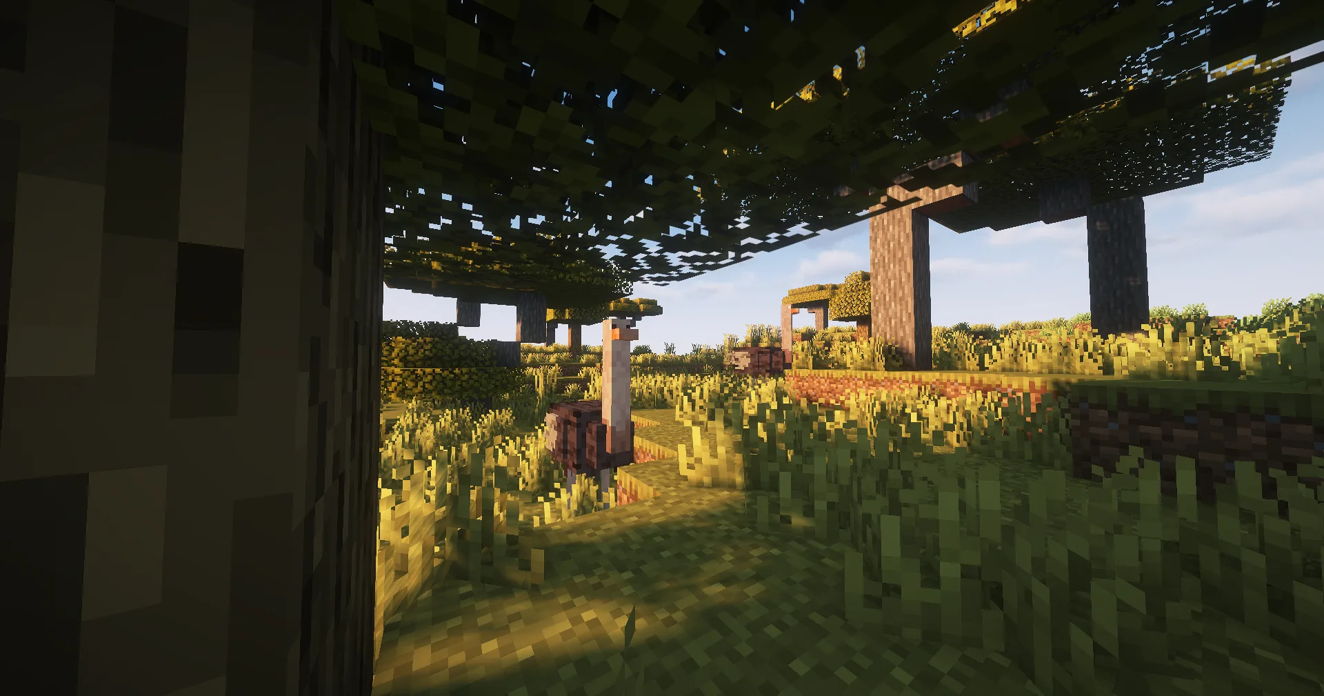 Страус в дикой природе, мод More Animals