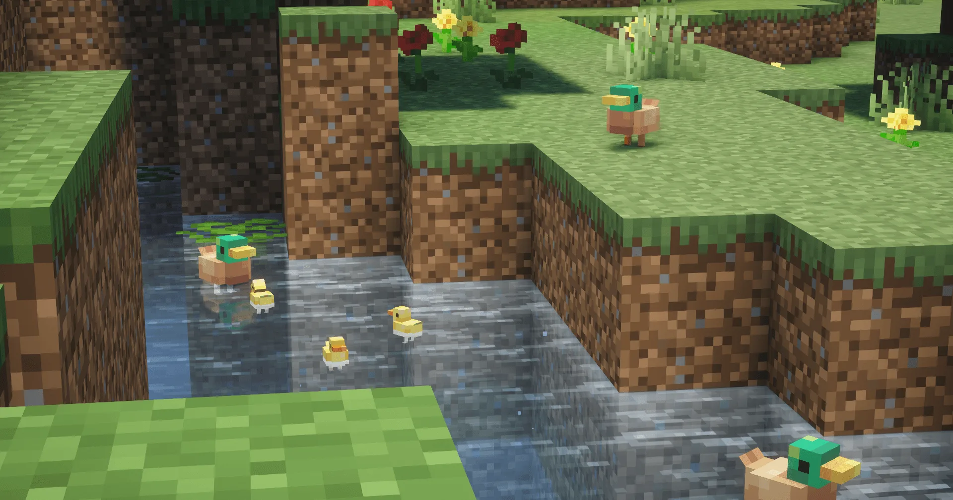 Семья уток с желтыми утятами, мод More Animals