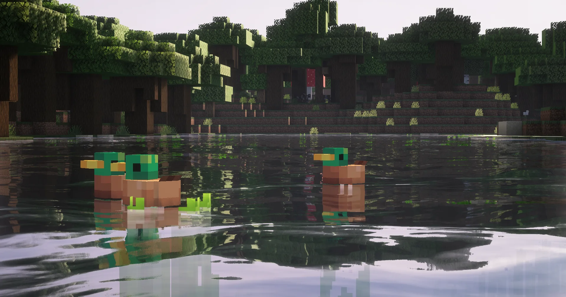 Утки плавают в воде, мод More Animals