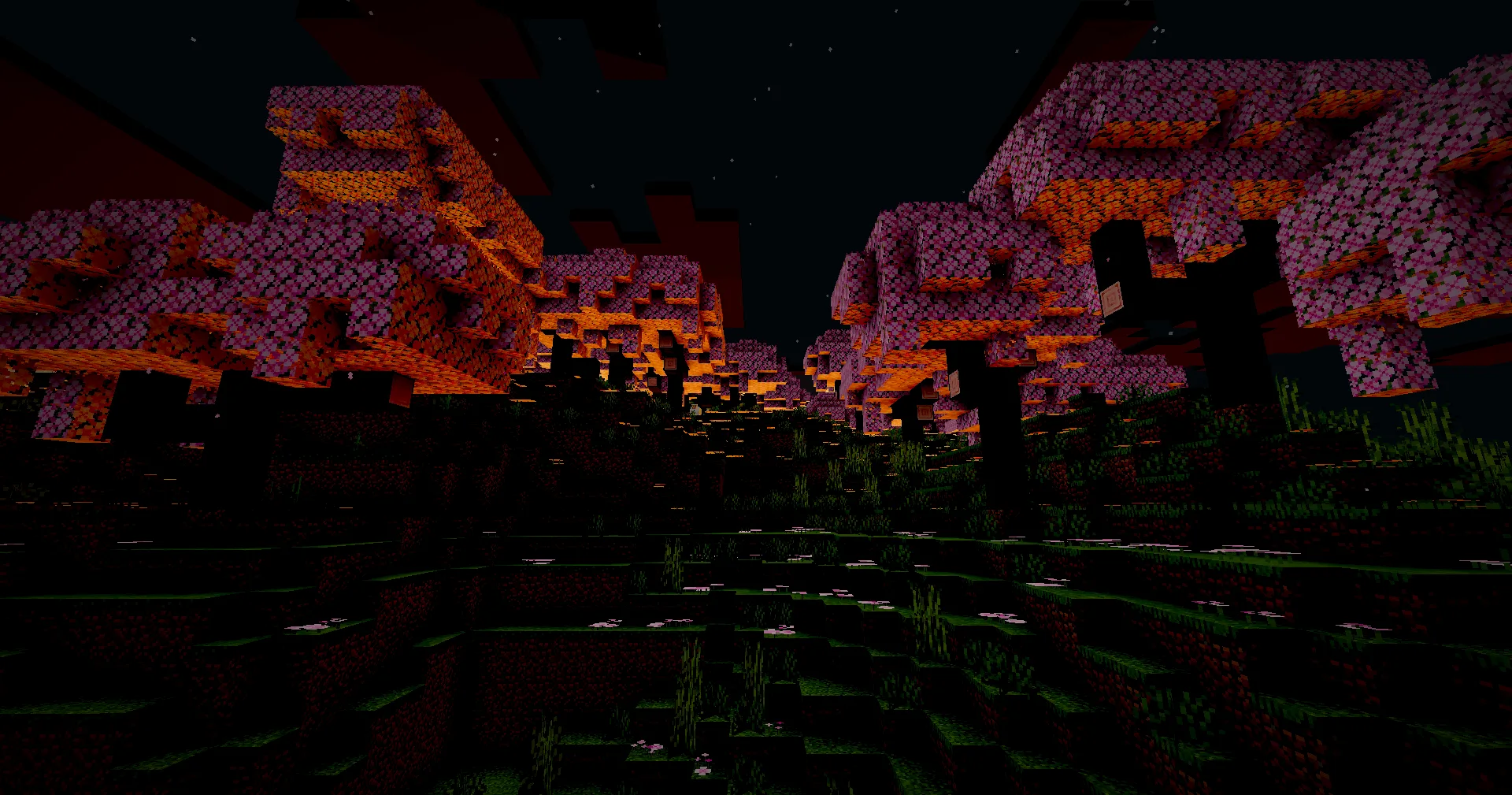 Цветущая сакура ночью в шейдерах Chara's Vibrant Shaders