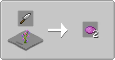 Цветок из мода Biomes O' Plenty, подготовленный для переработки в краситель.