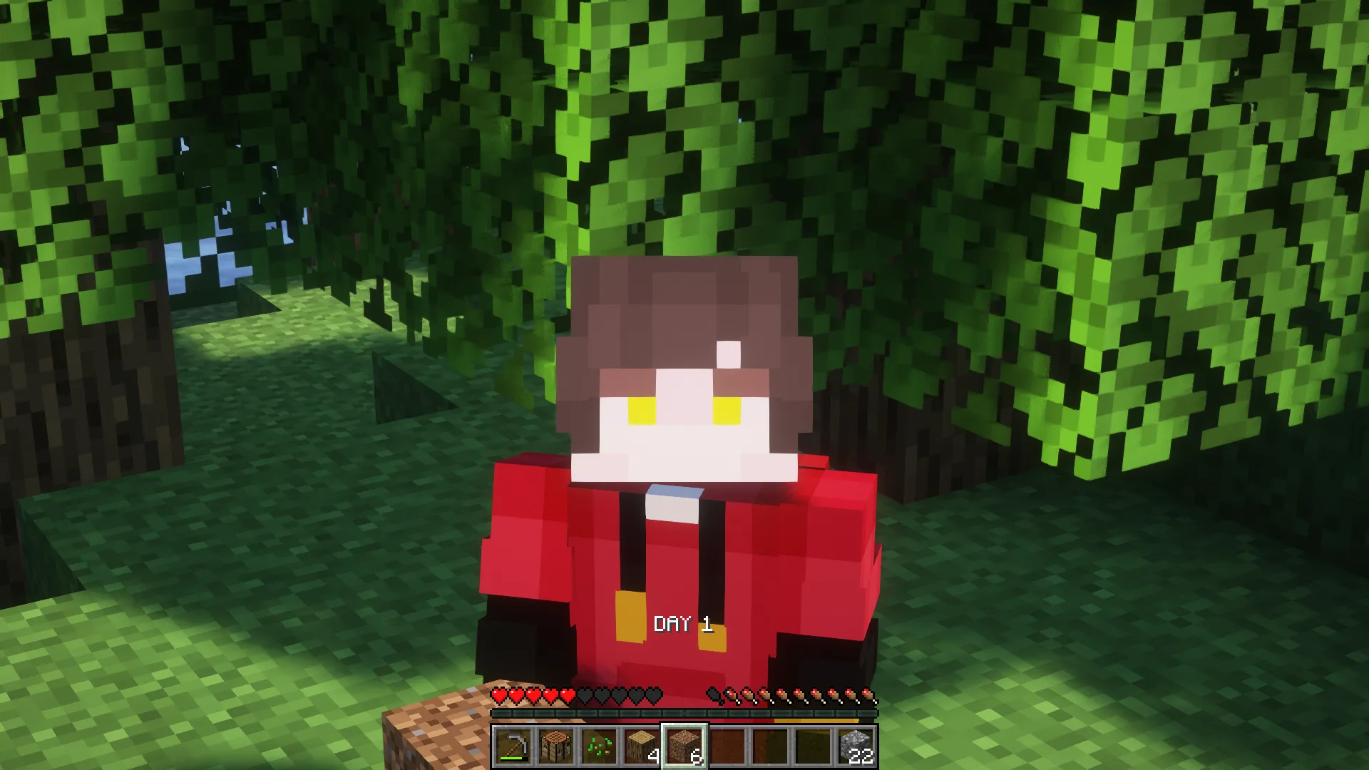 Скриншот счетчика дней в Minecraft, отображающий «Day 1».