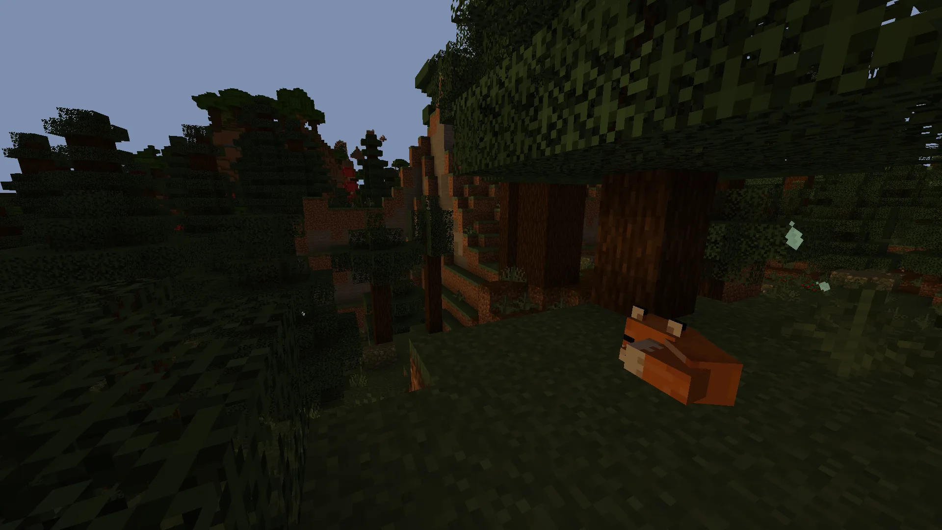 Лес на закате в Lumeau.