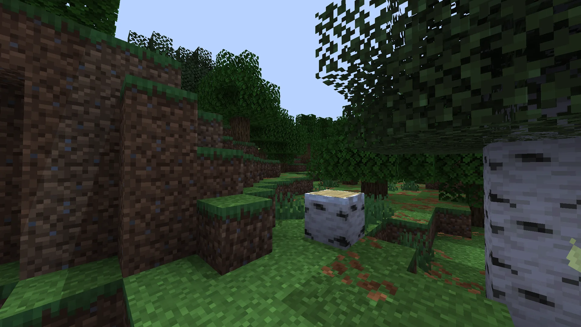 Лес Lumeau в полдень.