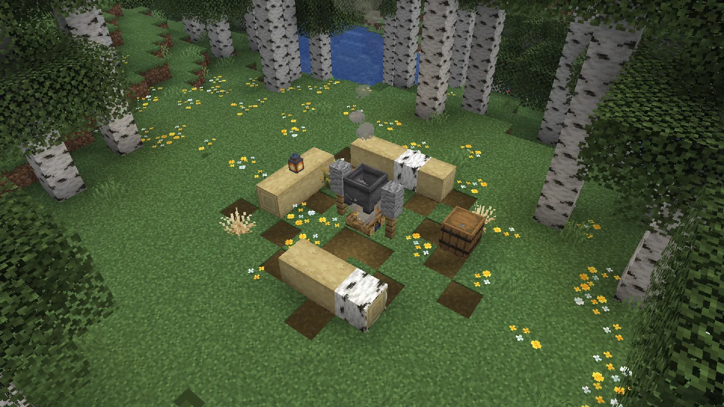 Заброшенный лагерь в березовом лесу