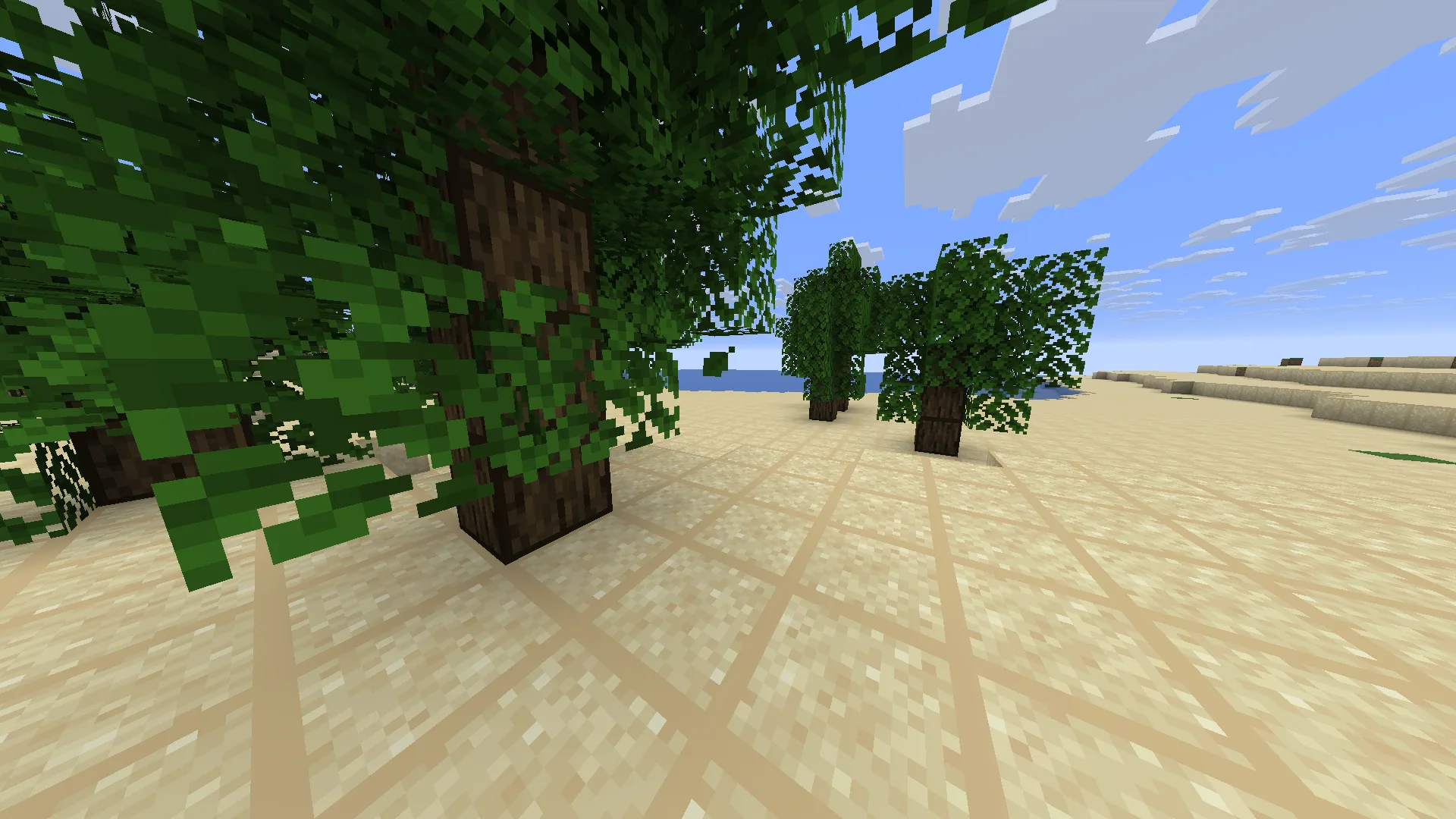 Пляж в ресурс-паке BorderBlock