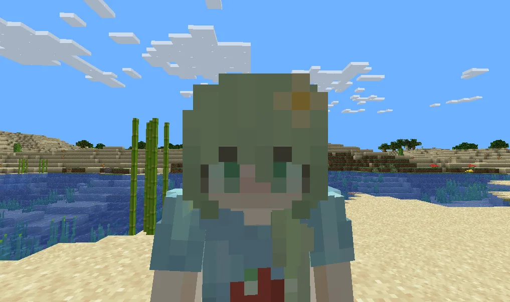 Скриншот камеры Minecraft, проходящей сквозь текстуры блоков без мода Modify Camera Collision.