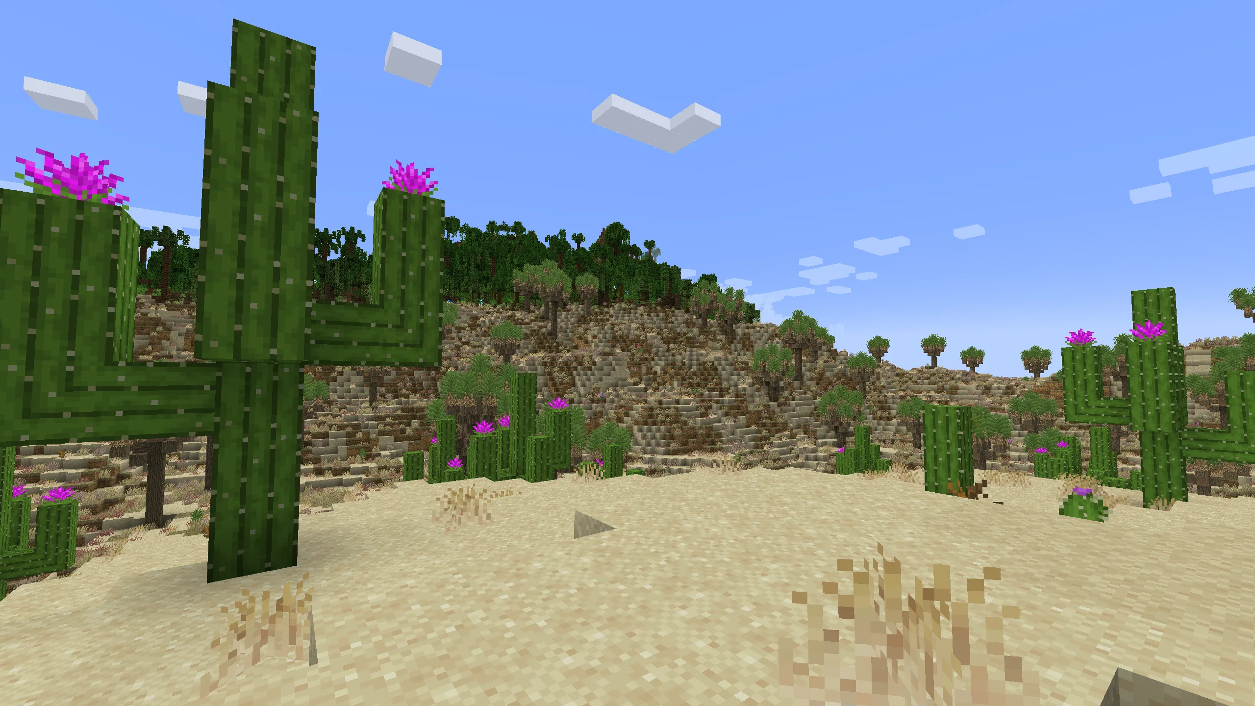 Пустынный биом с кактусами сагуаро из мода Regions Unexplored.