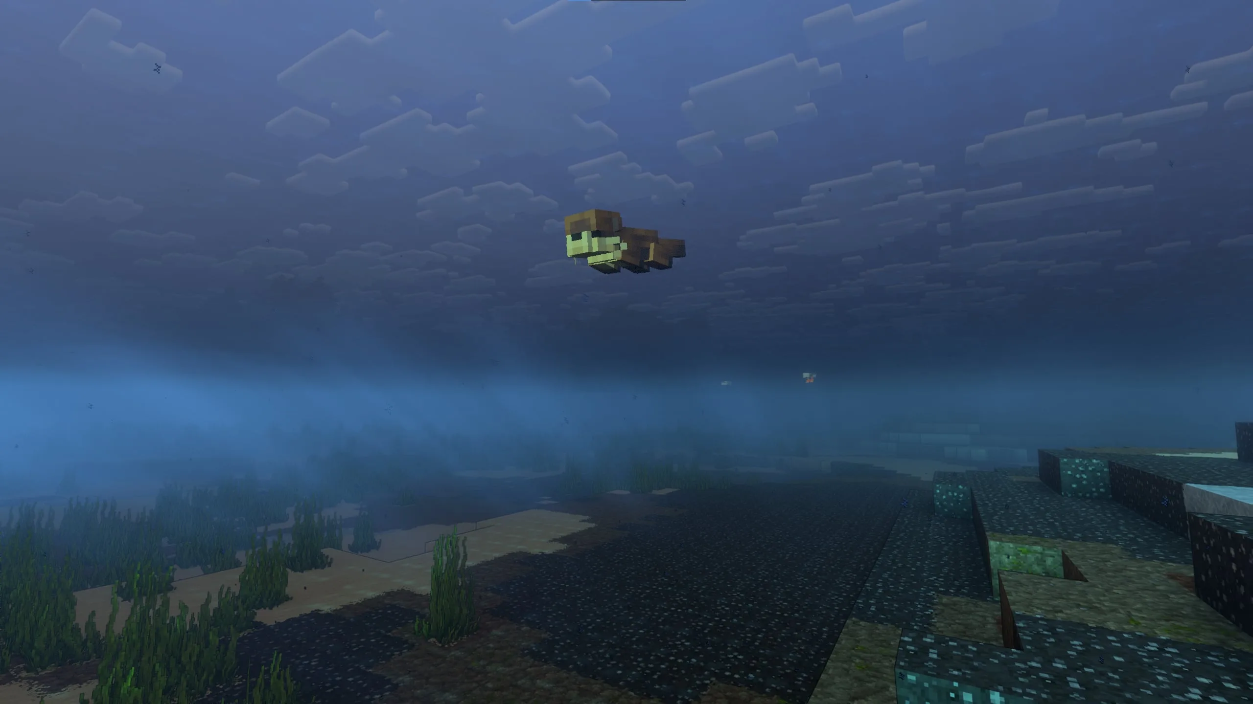 Скриншот шейдерпака Nova Reimagined в Minecraft.