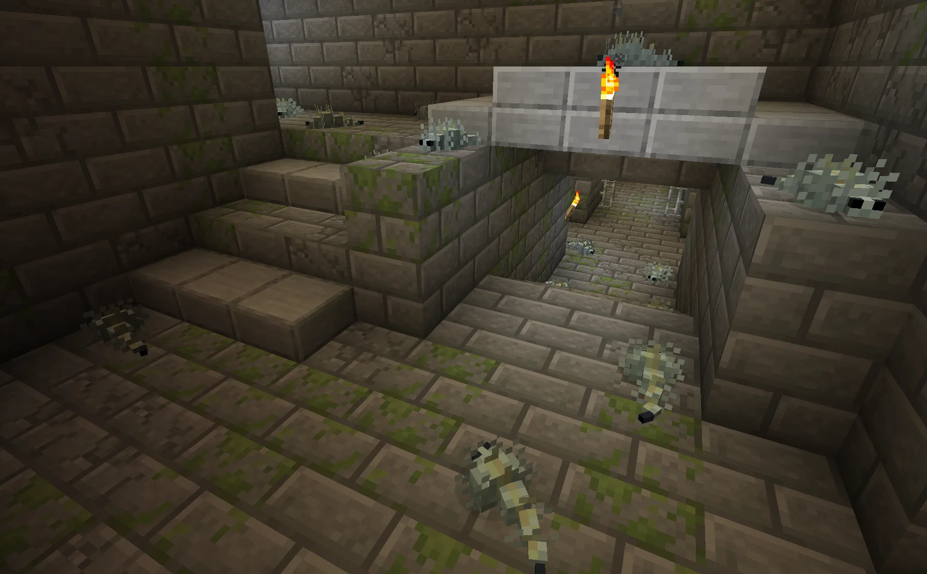 Чешуйницы в крепости