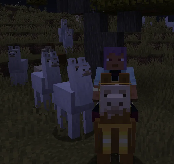 Караван лам в ночной саванне