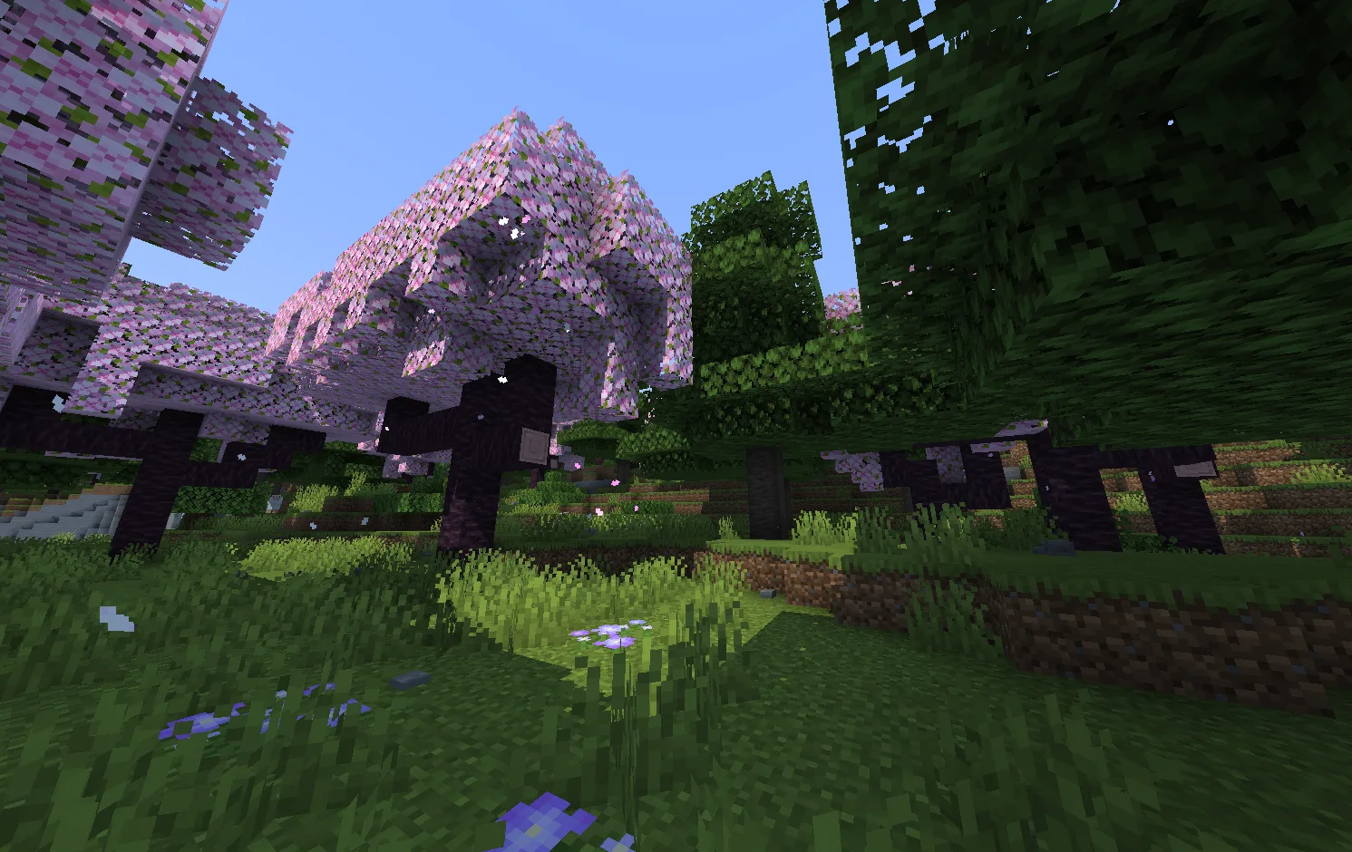 Лесная поляна в биоме Sugi Forest из набора текстур Nature's Spirit.