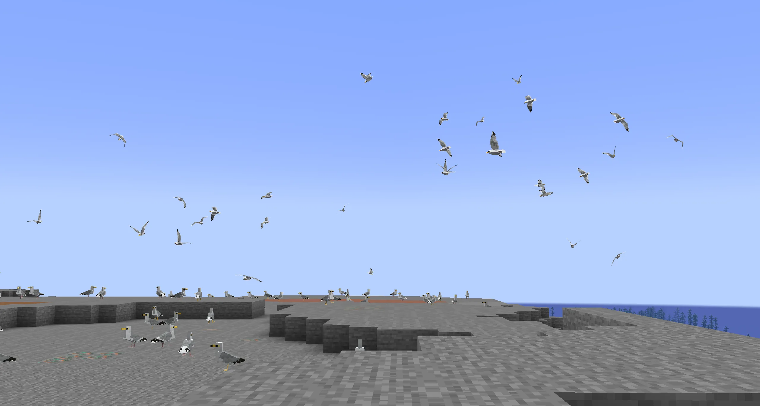 Чайки на каменистом берегу.