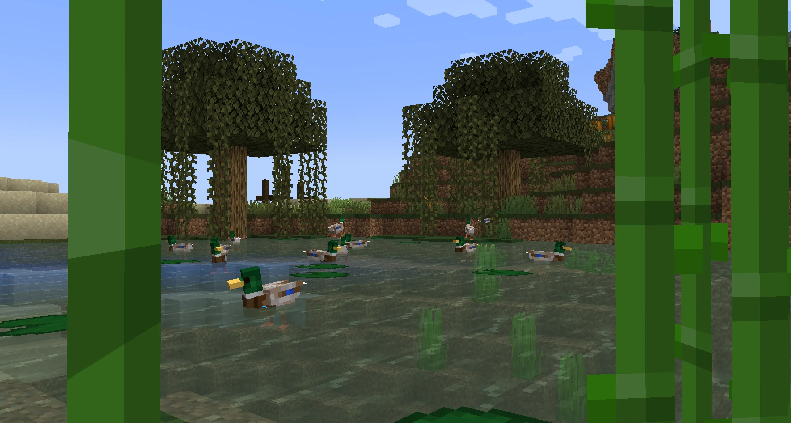 Стая уток плавает в пруду в Minecraft.