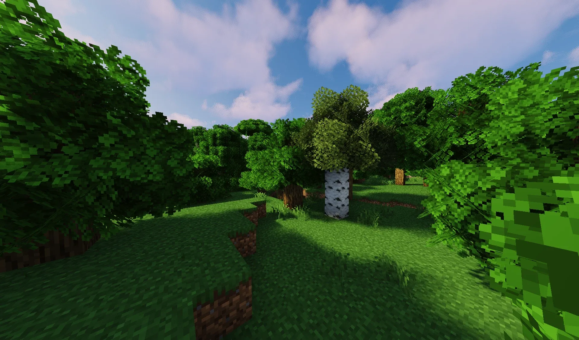 Густой лес с пышной листвой деревьев, созданной с помощью мода Bushy Leaves.