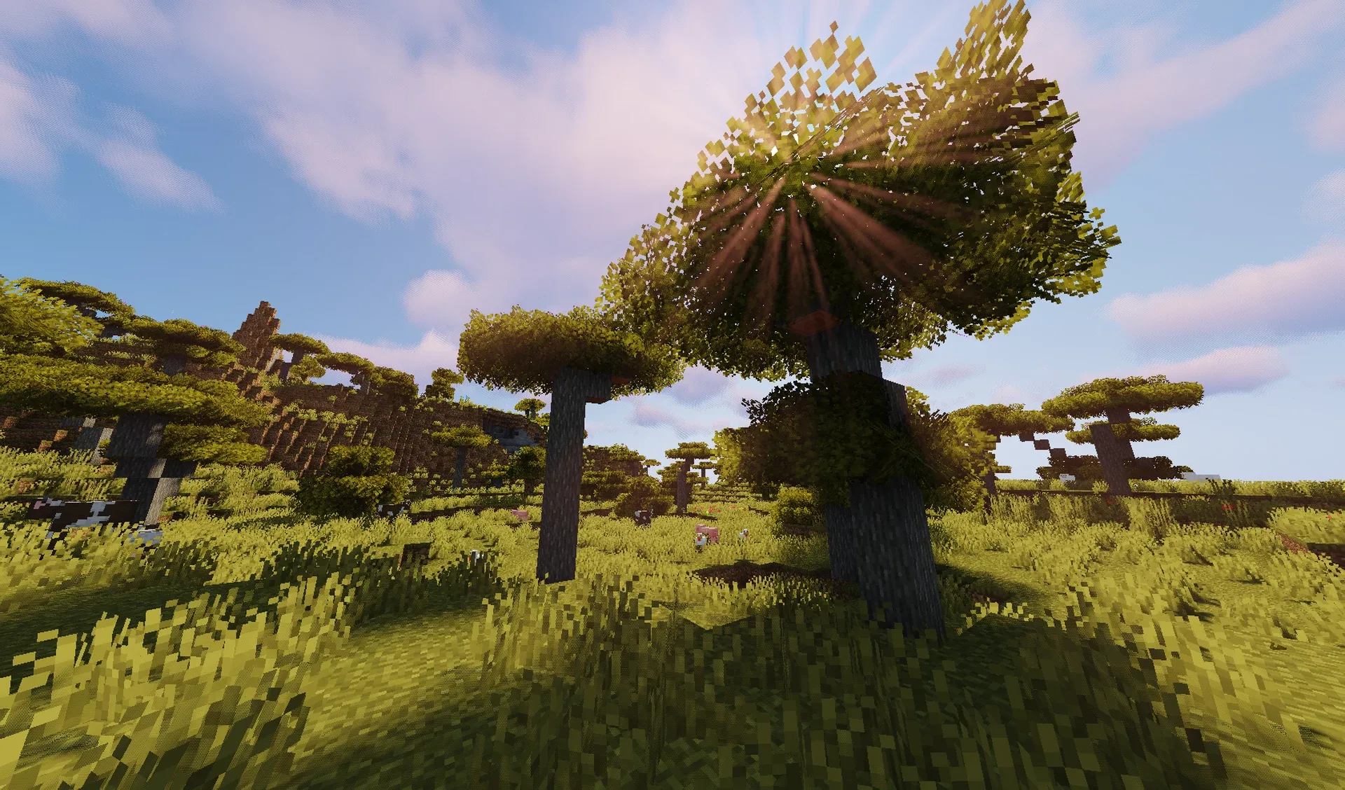 Скриншот саванны с модификацией Bushy Leaves.