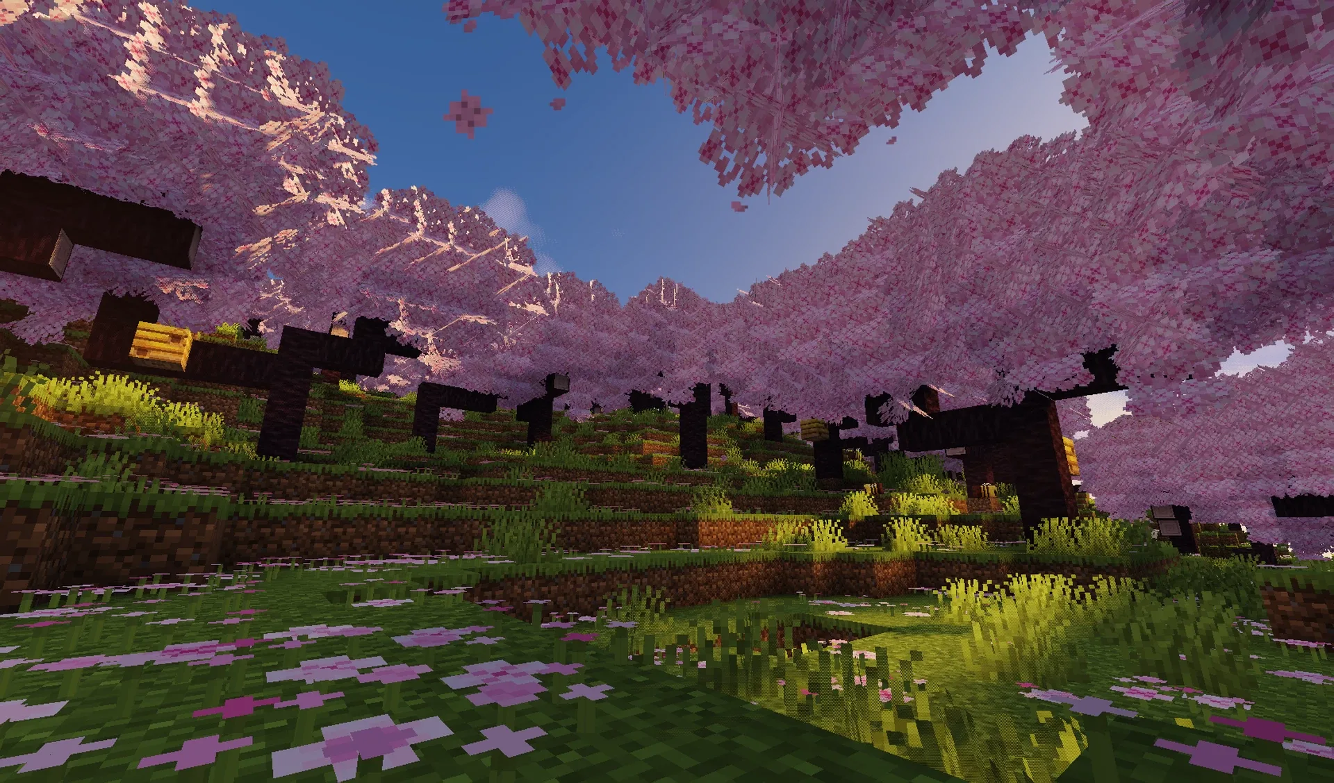 Пышная листва вишневого леса в Minecraft.