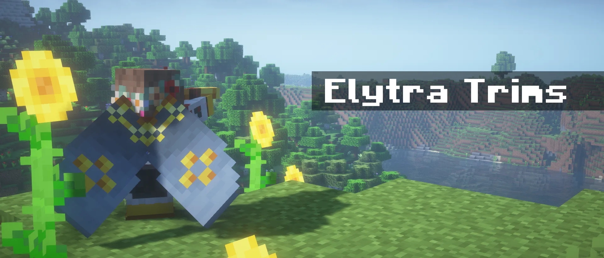 Логотип проекта Elytra Trims.