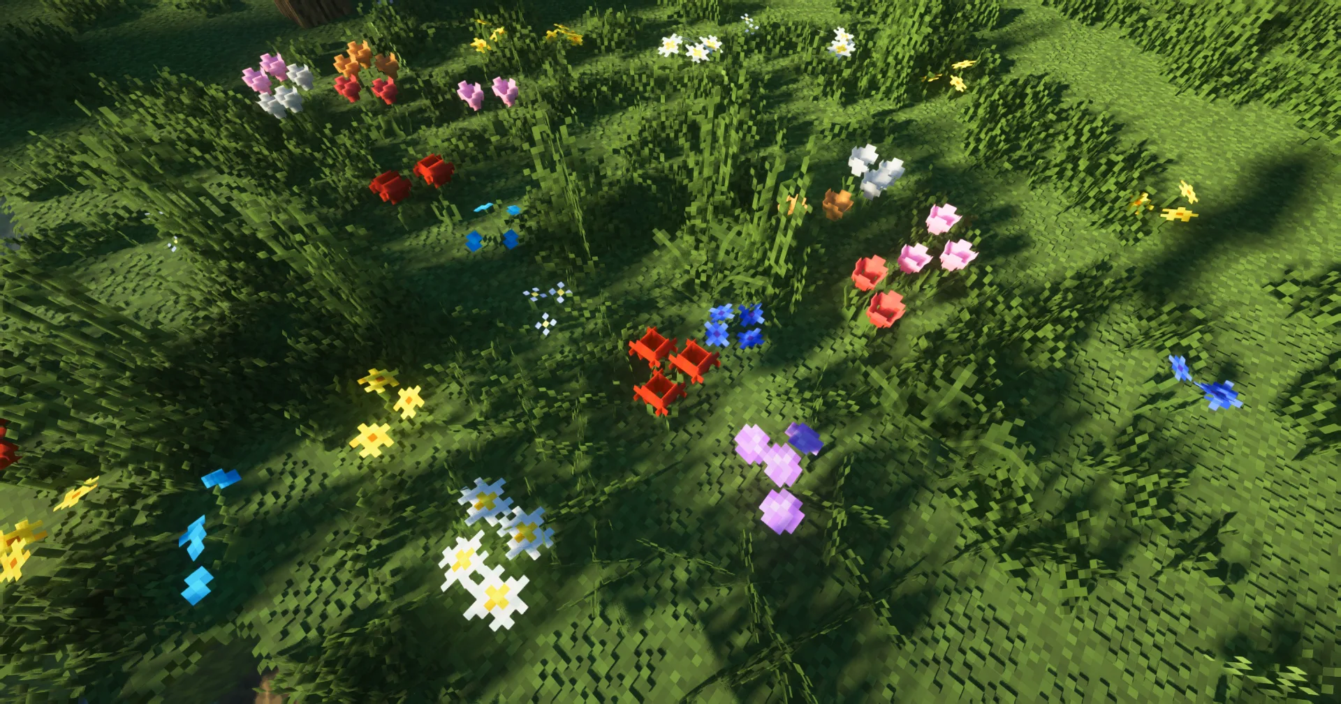 Вид на растительность на уровне земли в проекте 100%Better.