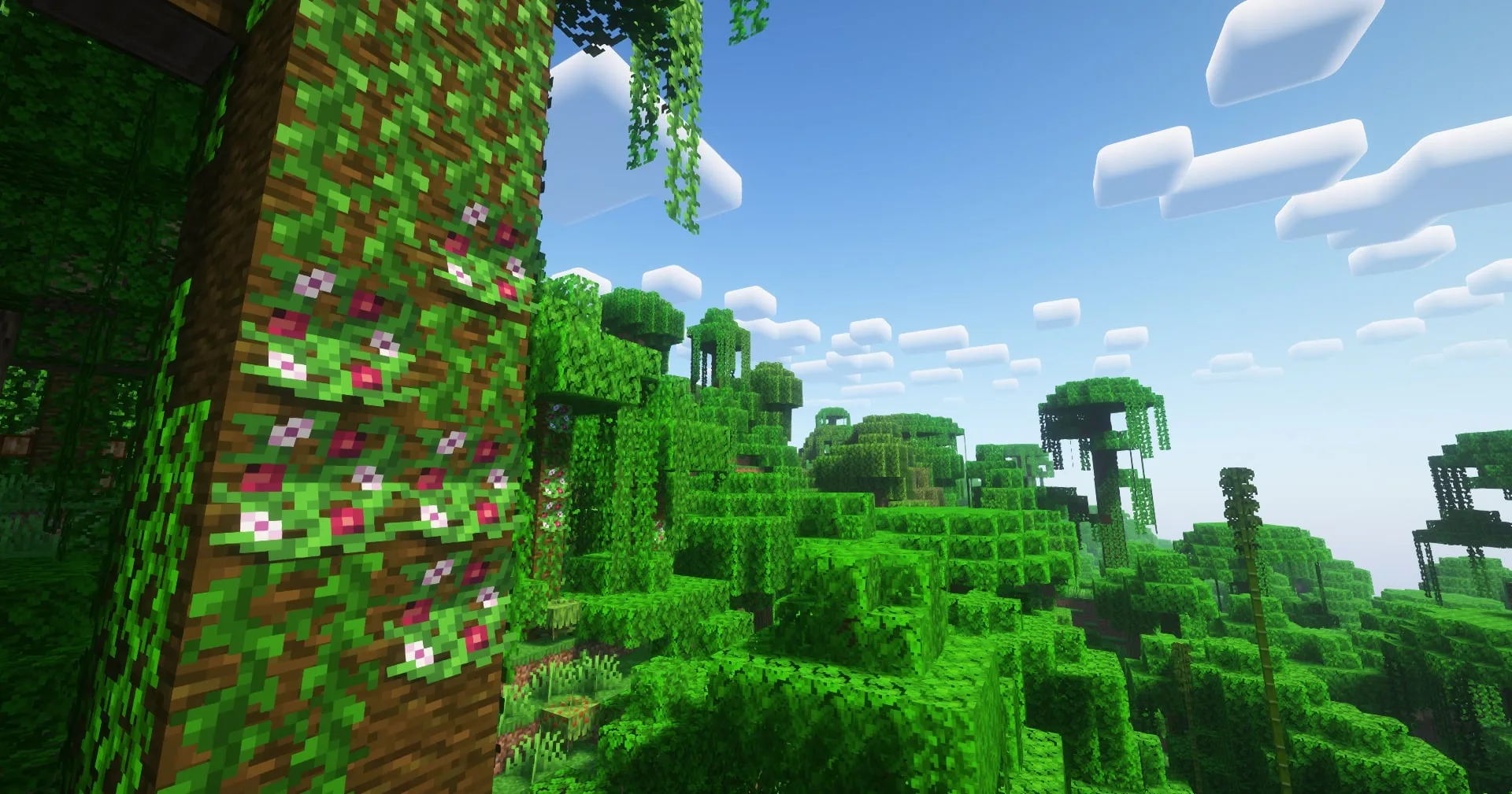 Дикий плод маракуйи в джунглях, шейдеры Complementary Reimagined.