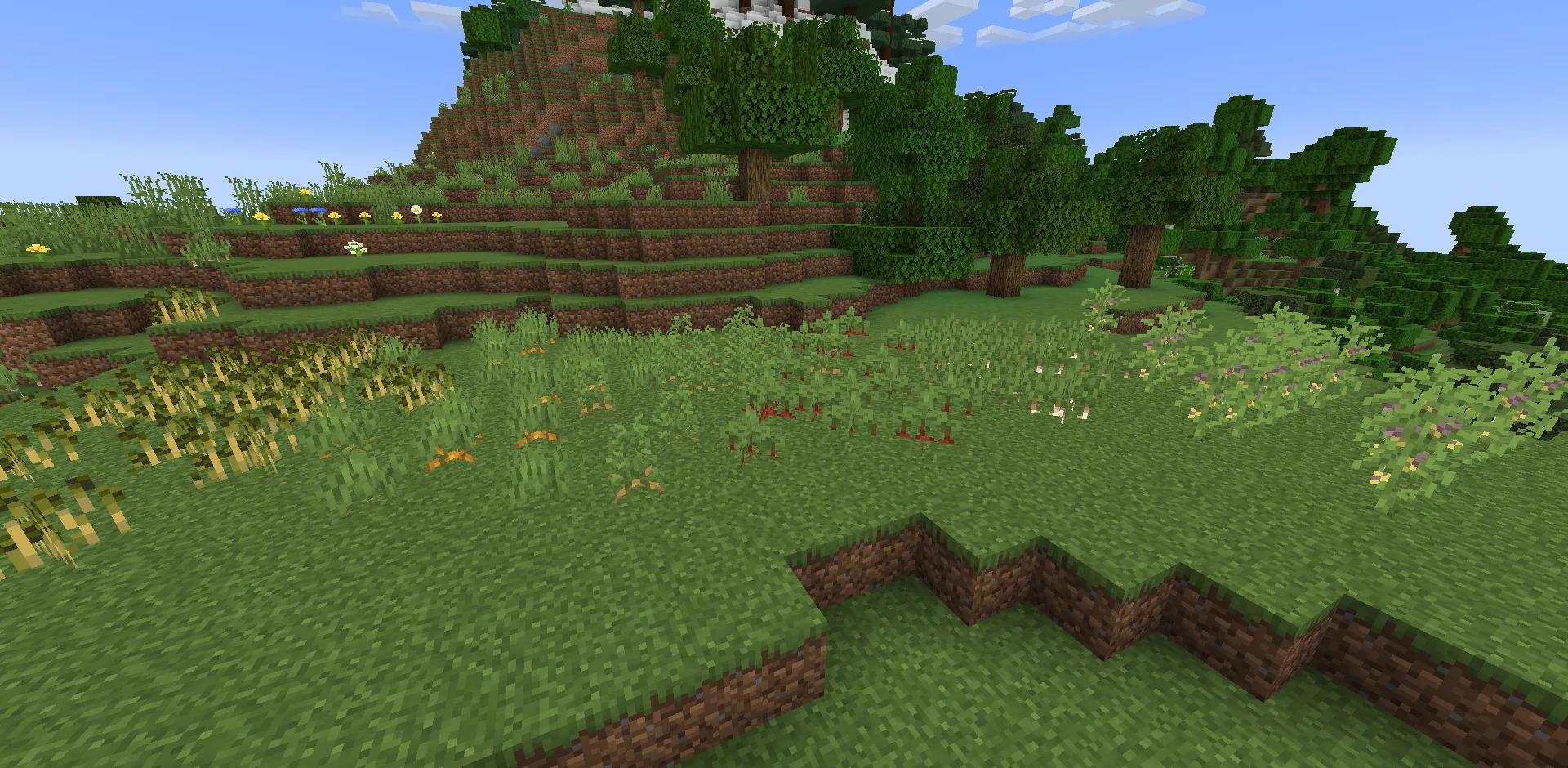 Скриншот с урожаем пшеницы, моркови, картофеля, свеклы, лука-порея и кукурузы из мода Bountiful Fares.