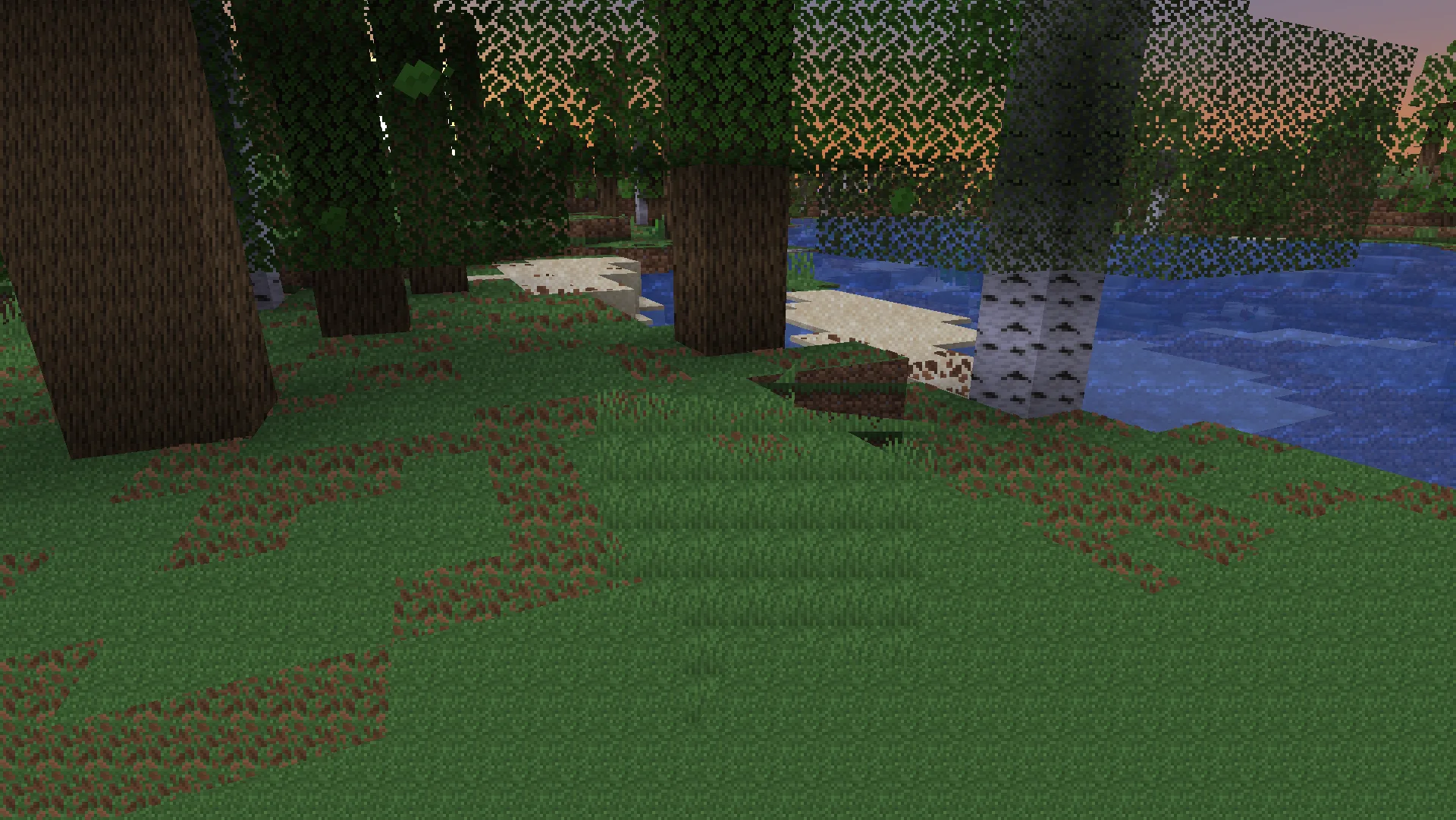 Лесной биом в Minecraft.