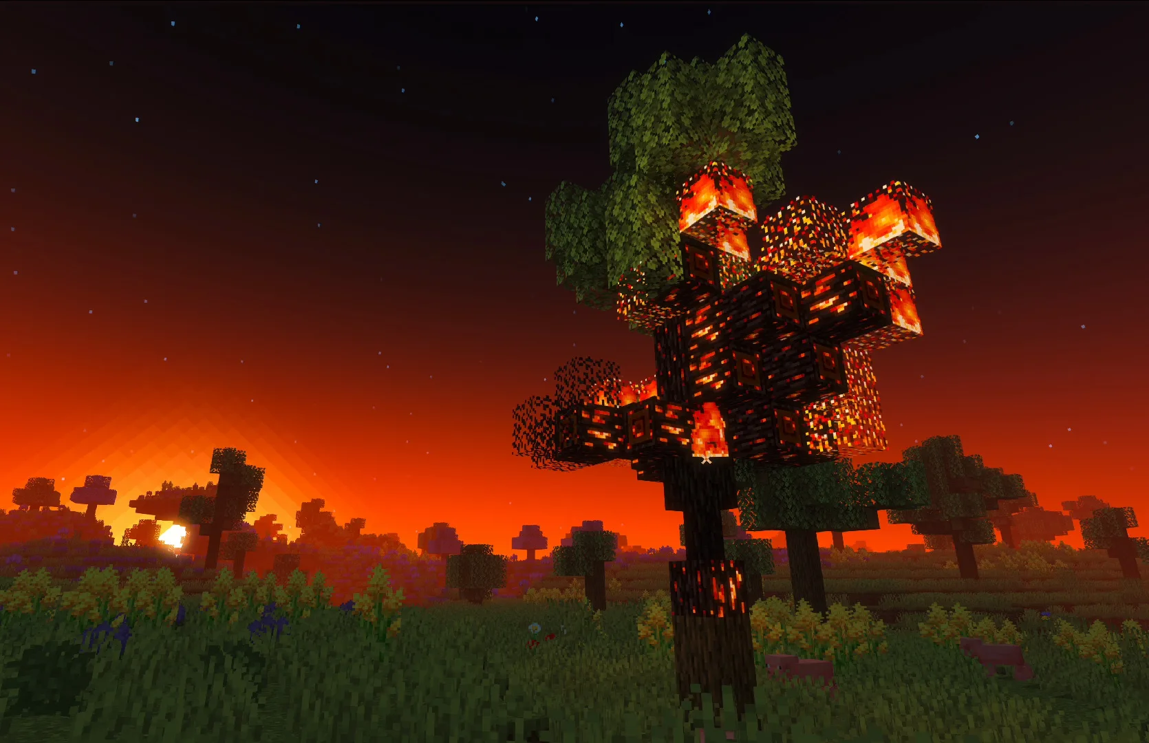 Выжженный лес в Minecraft.