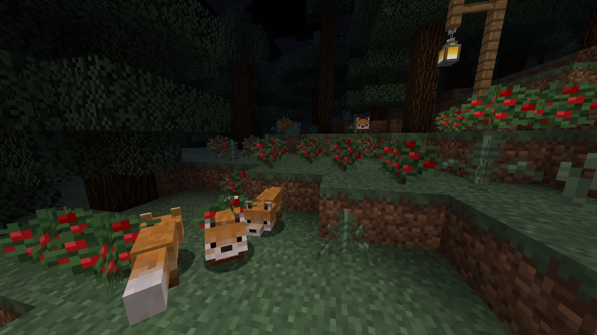 Лисы в зарослях ягод в Minecraft.