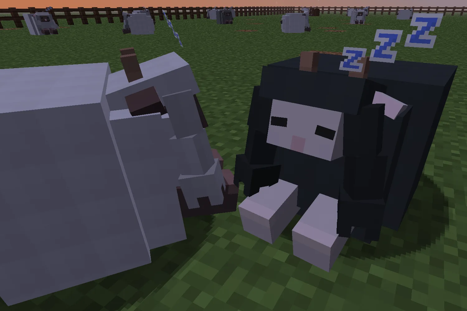 Блестящая вариация овцы Wooloo