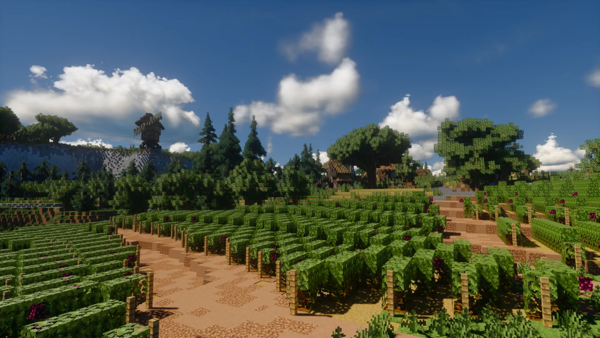 Alpha Piscium: Cumulus Cloud Update #4, карта Новиграда.