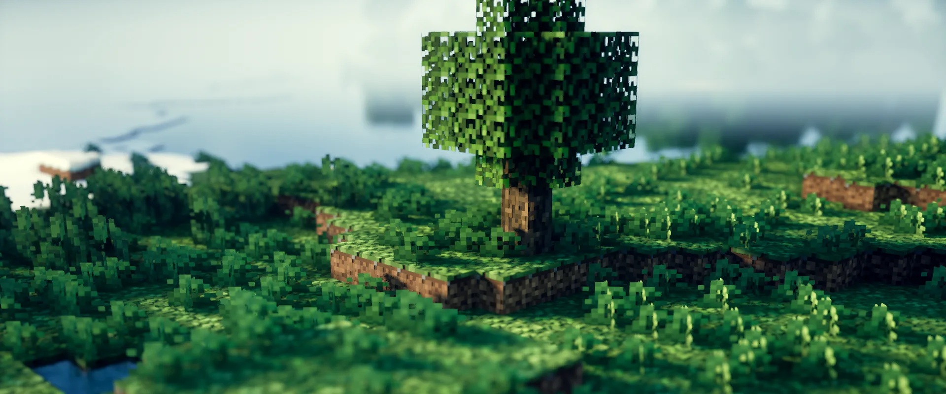 Равнинный биом в ресурс-паке SPPBR