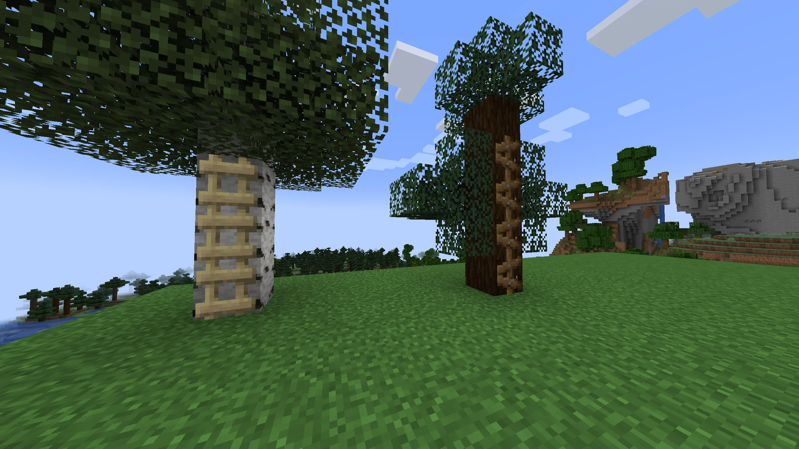 Берёзовые и еловые лестницы из мода More Ladders