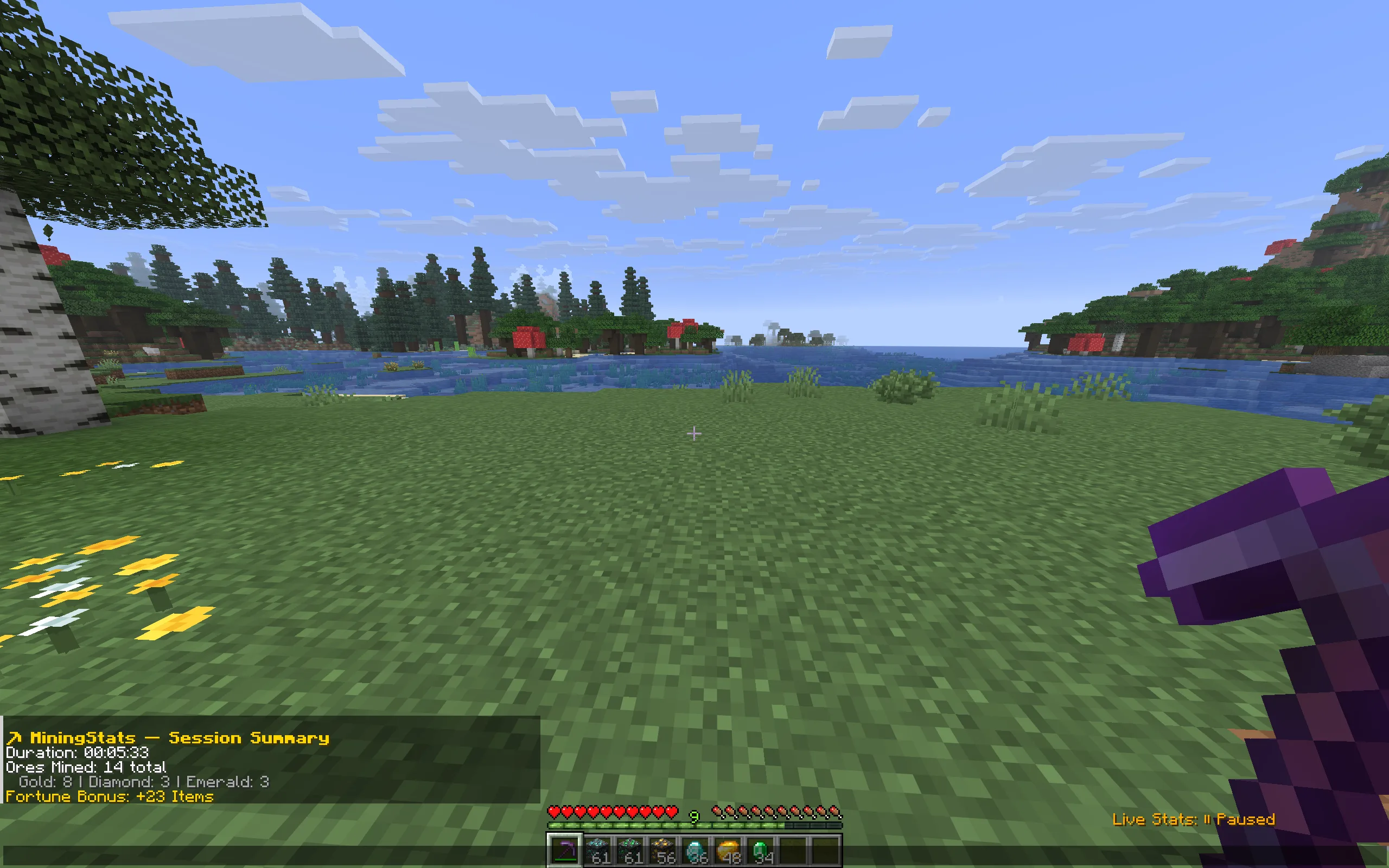 Сводка добытых ресурсов в чате Minecraft от мода MiningStats