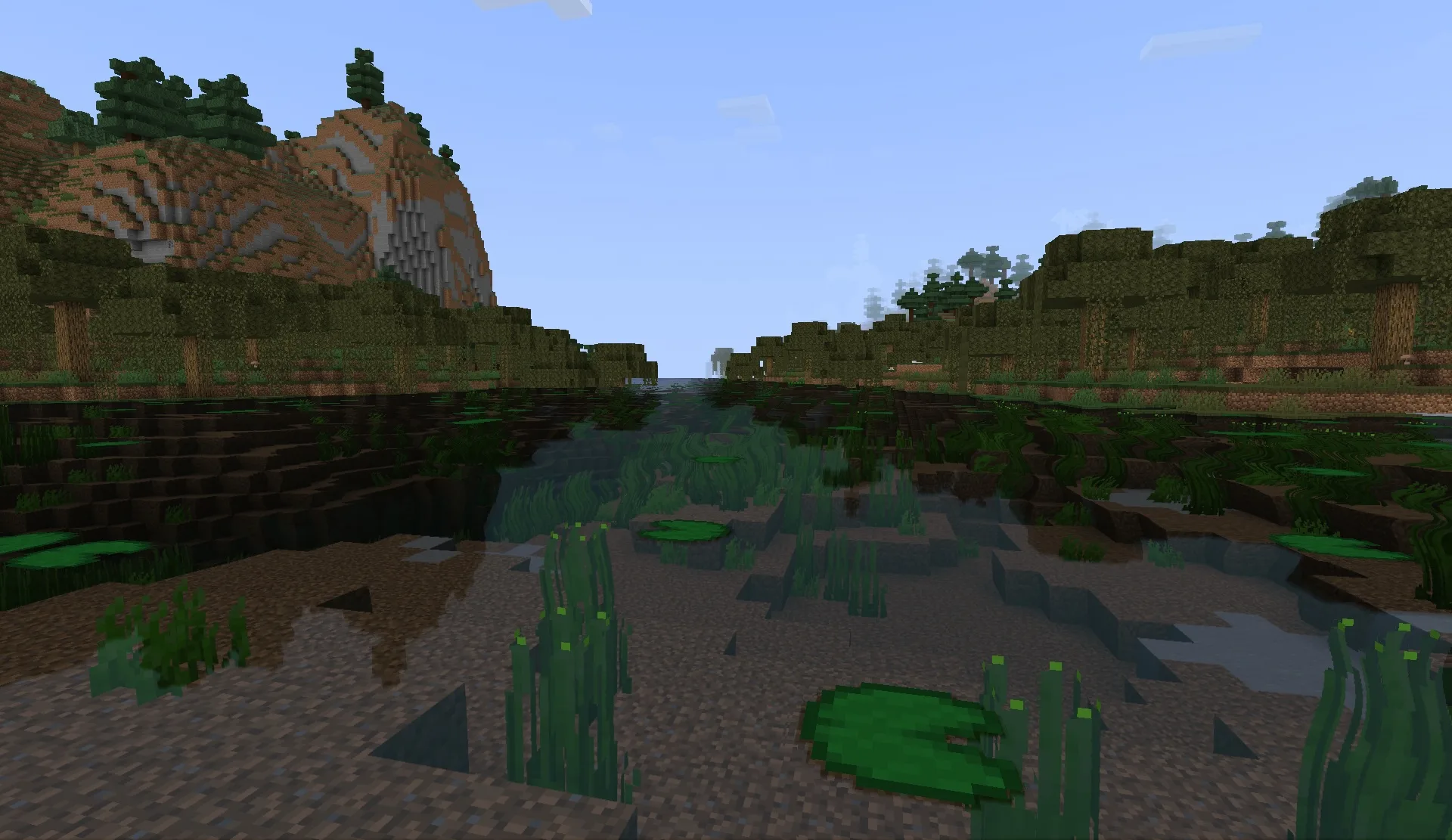 Водяной шейдер на болоте.