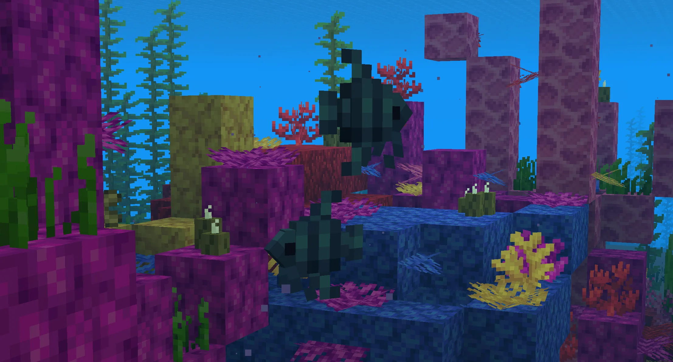 Angelfish in a Reef