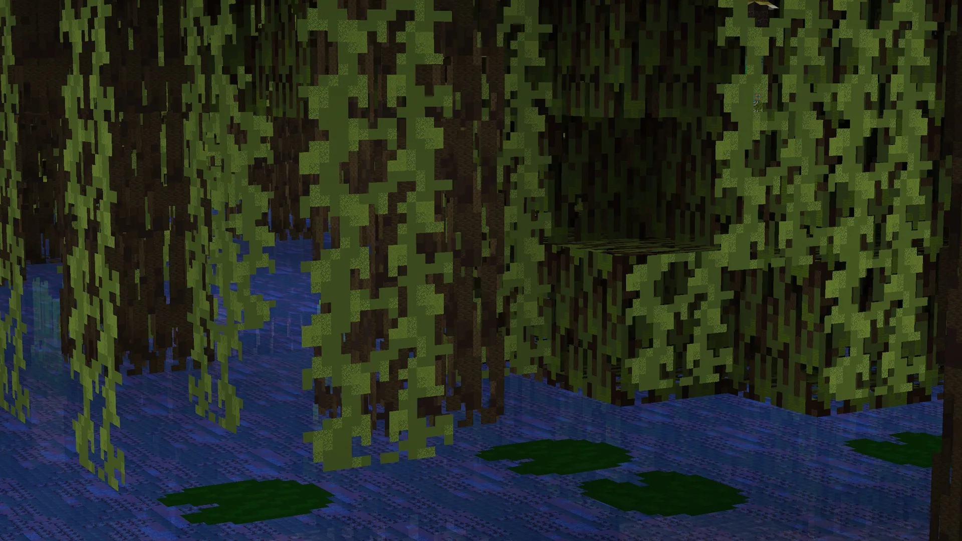Mangrove Swamp