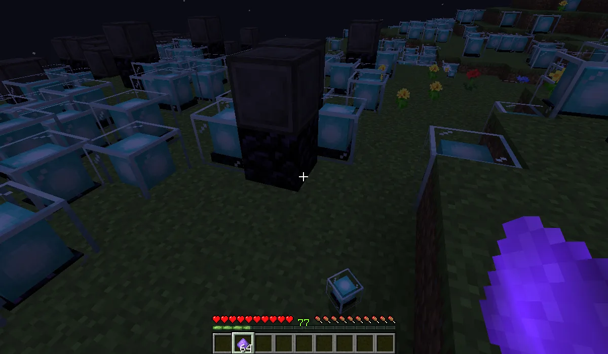 Скриншот мода Revelationary: блоки травы, выглядящие как блоки незерита до победы над Иссушителем.